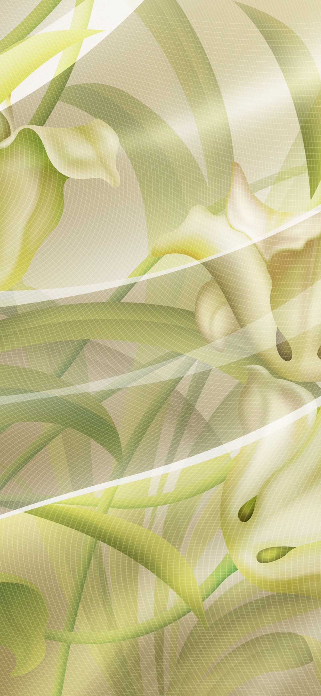 Grün-weißes Florales Textil. Wallpaper in 1125x2436 Resolution