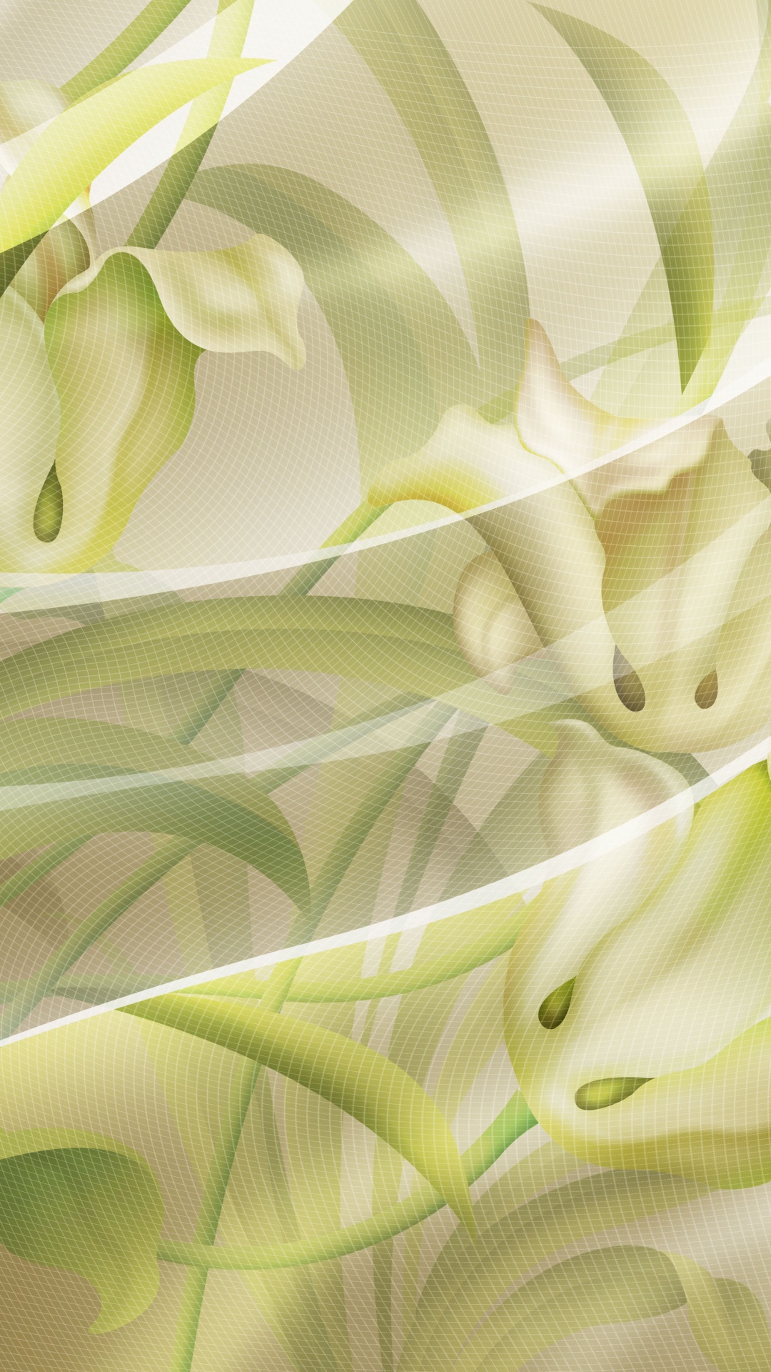 Green and White Floral Textile. Wallpaper in 1080x1920 Resolution