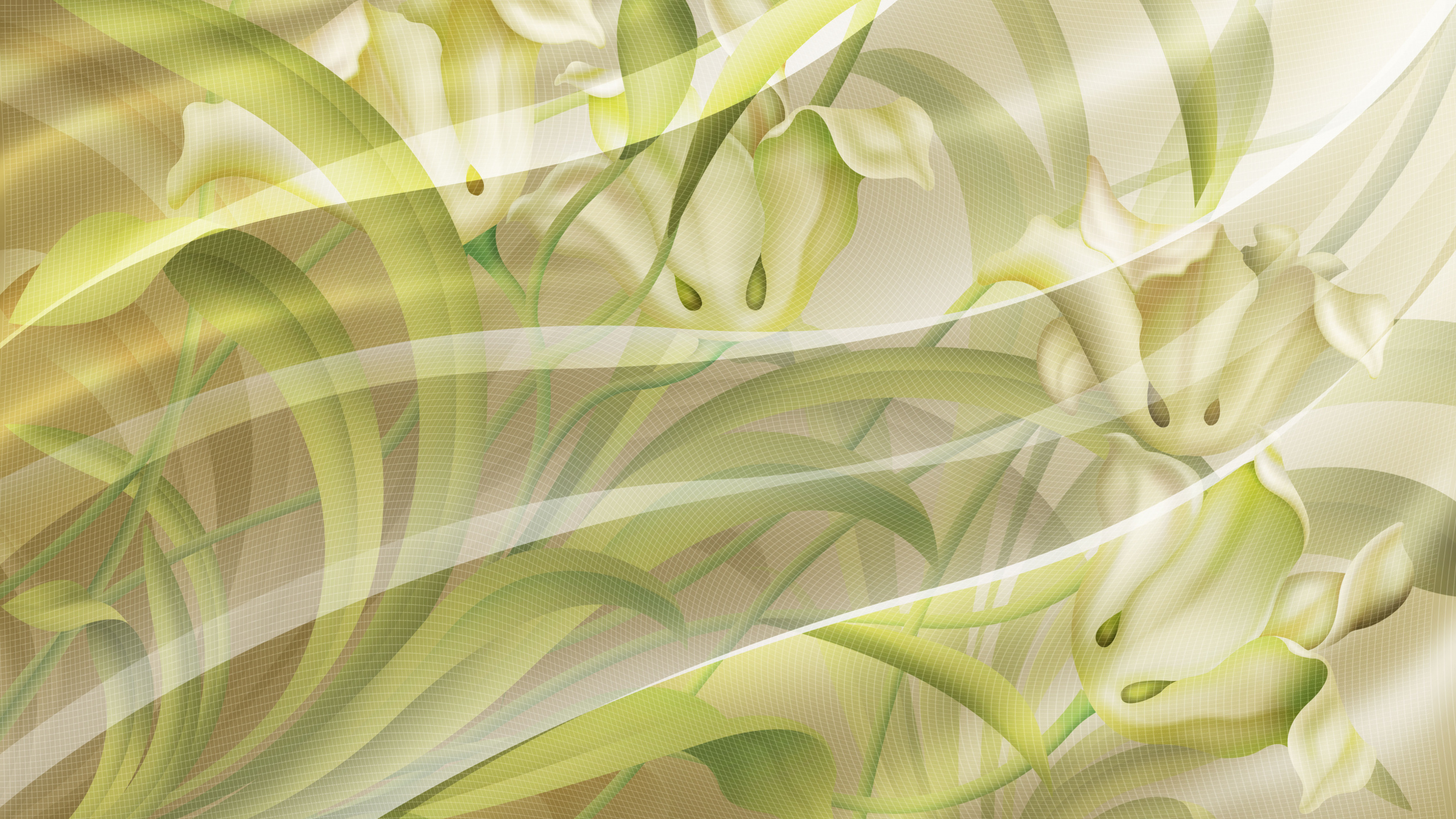 Green and White Floral Textile. Wallpaper in 2560x1440 Resolution