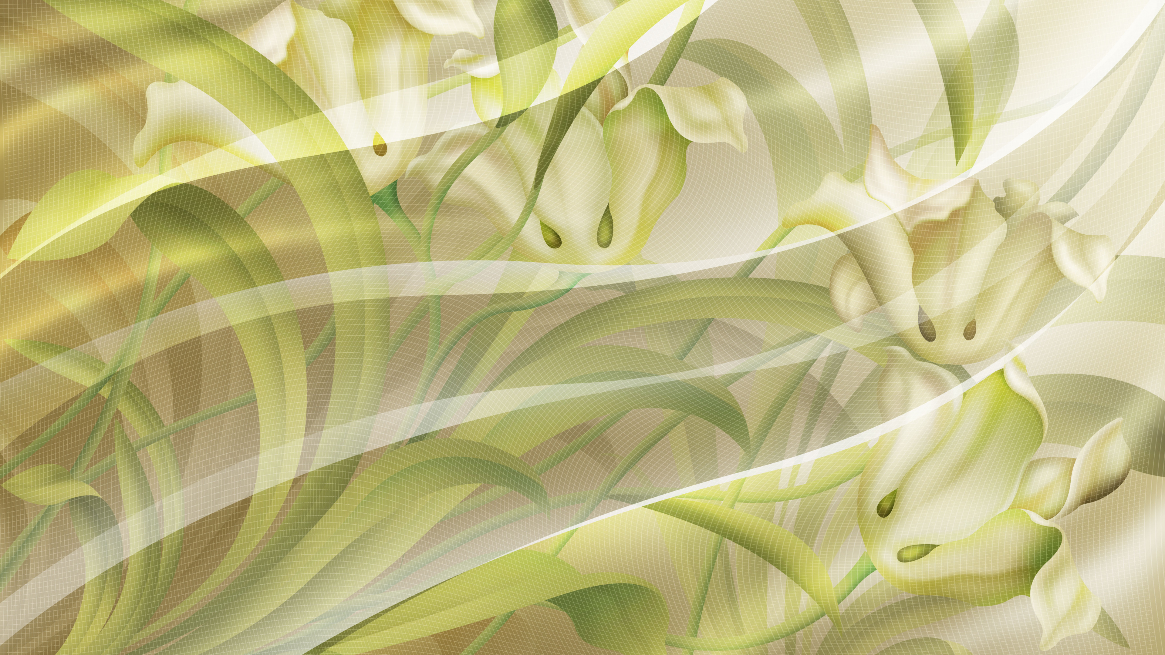Green and White Floral Textile. Wallpaper in 3840x2160 Resolution