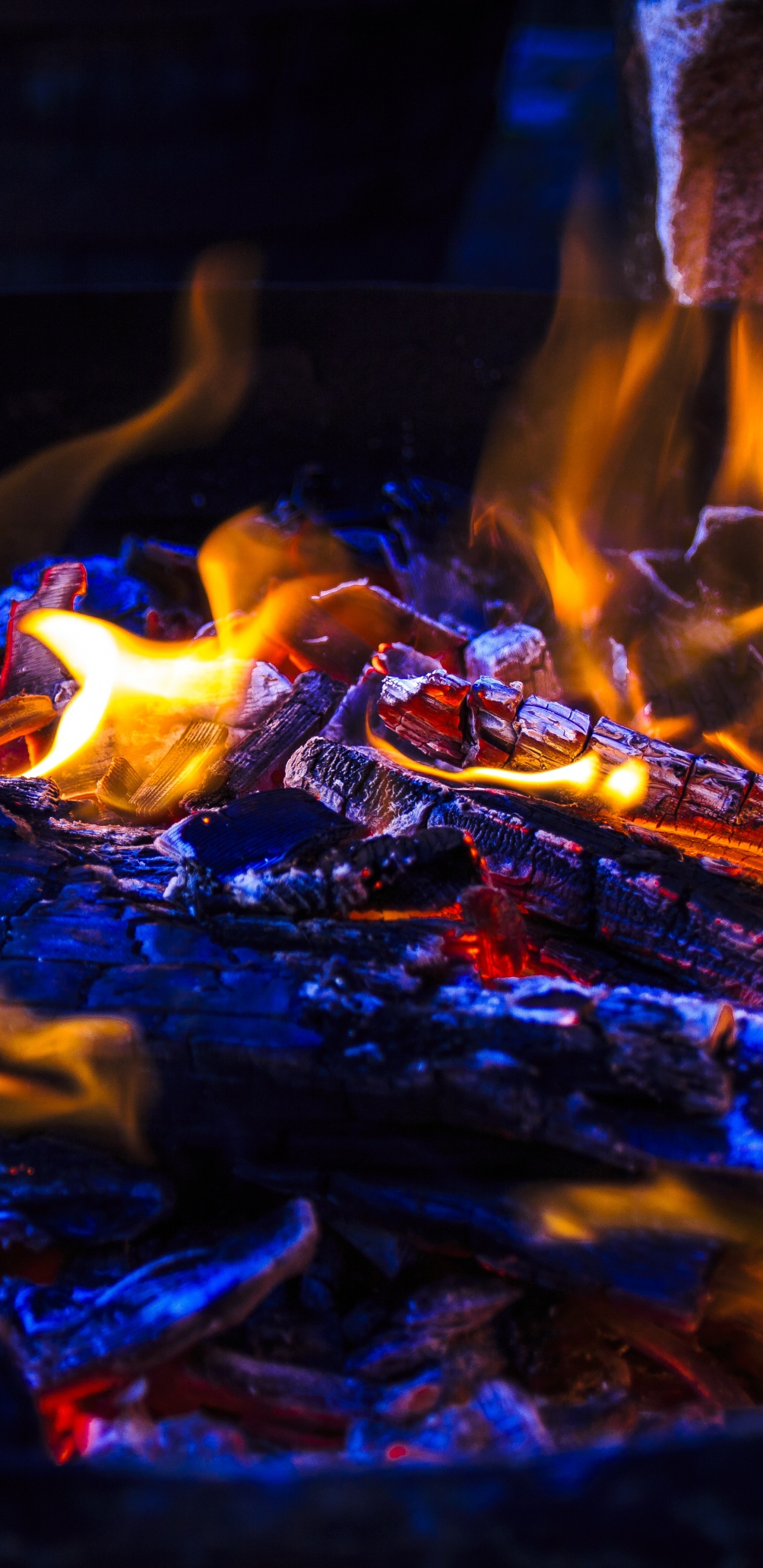 Brûler du Bois Sur un Feu de Camp. Wallpaper in 1440x2960 Resolution