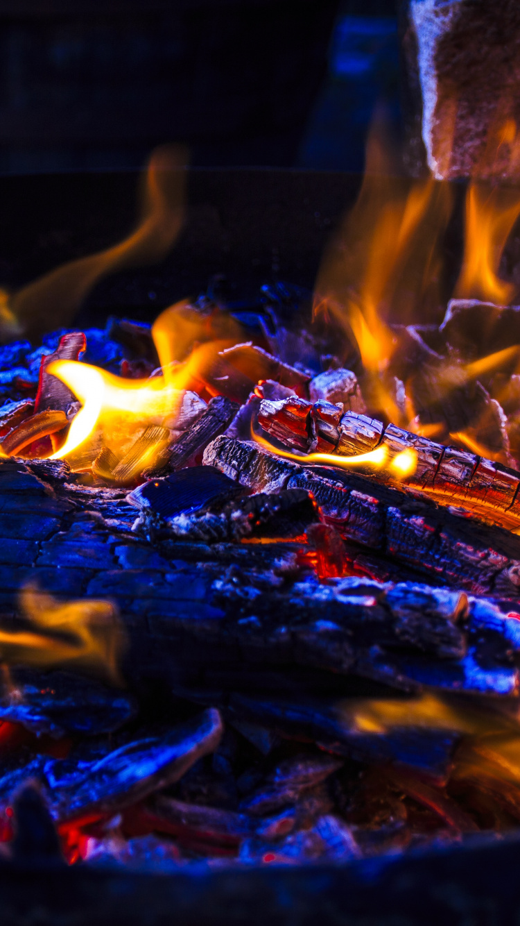 Brûler du Bois Sur un Feu de Camp. Wallpaper in 750x1334 Resolution