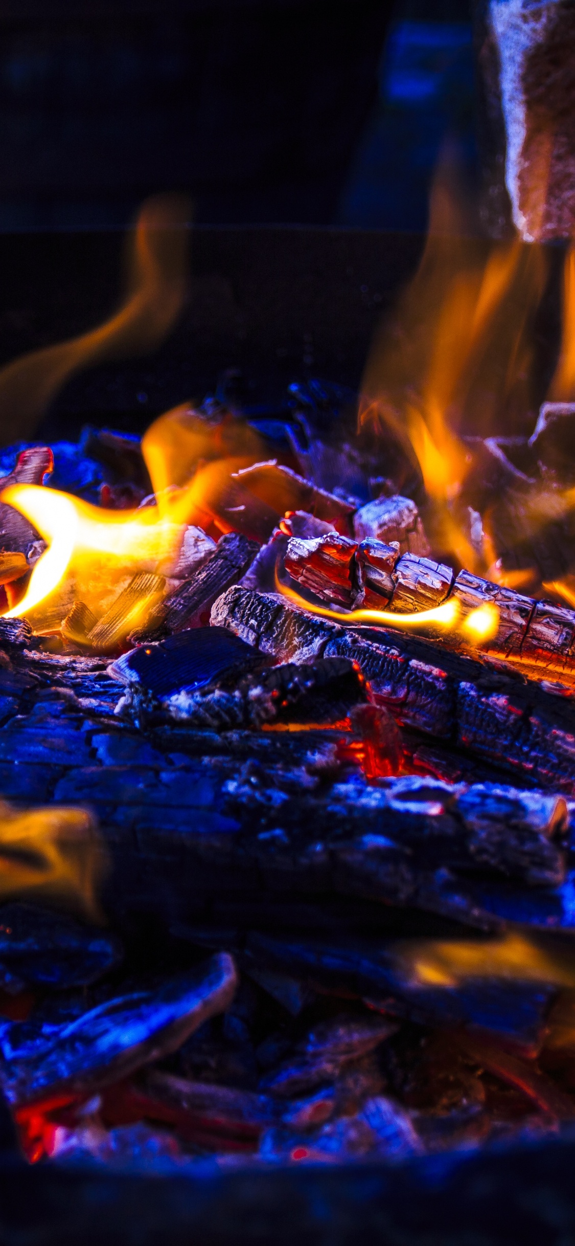 Brennendes Holz Auf Der Feuerstelle. Wallpaper in 1125x2436 Resolution