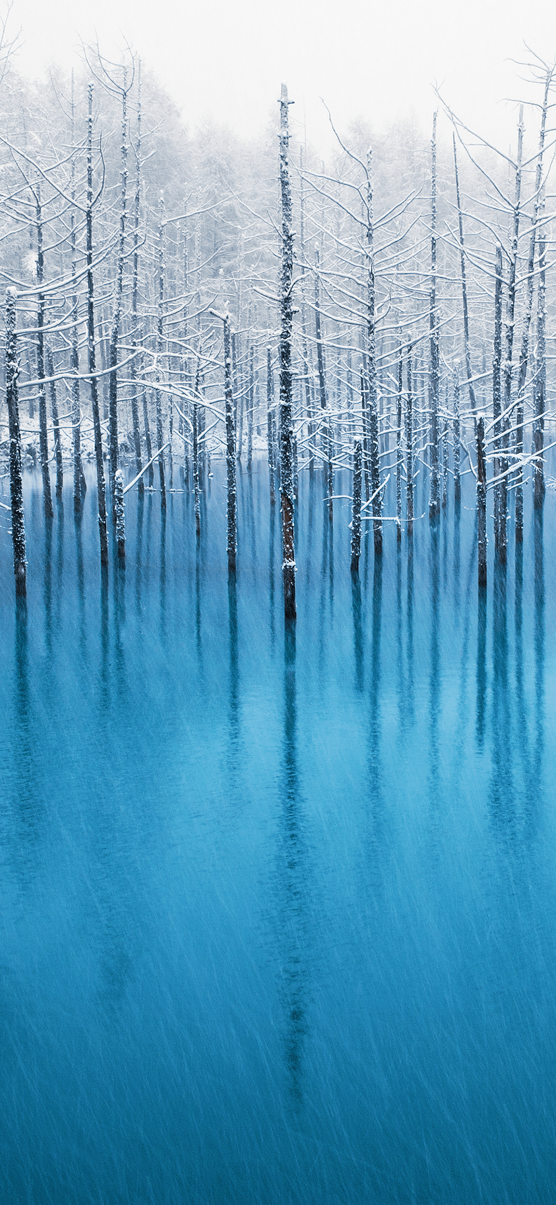 IOS 7, Ipod Touch, Ios, Apples, Water. Wallpaper in 1125x2436 Resolution
