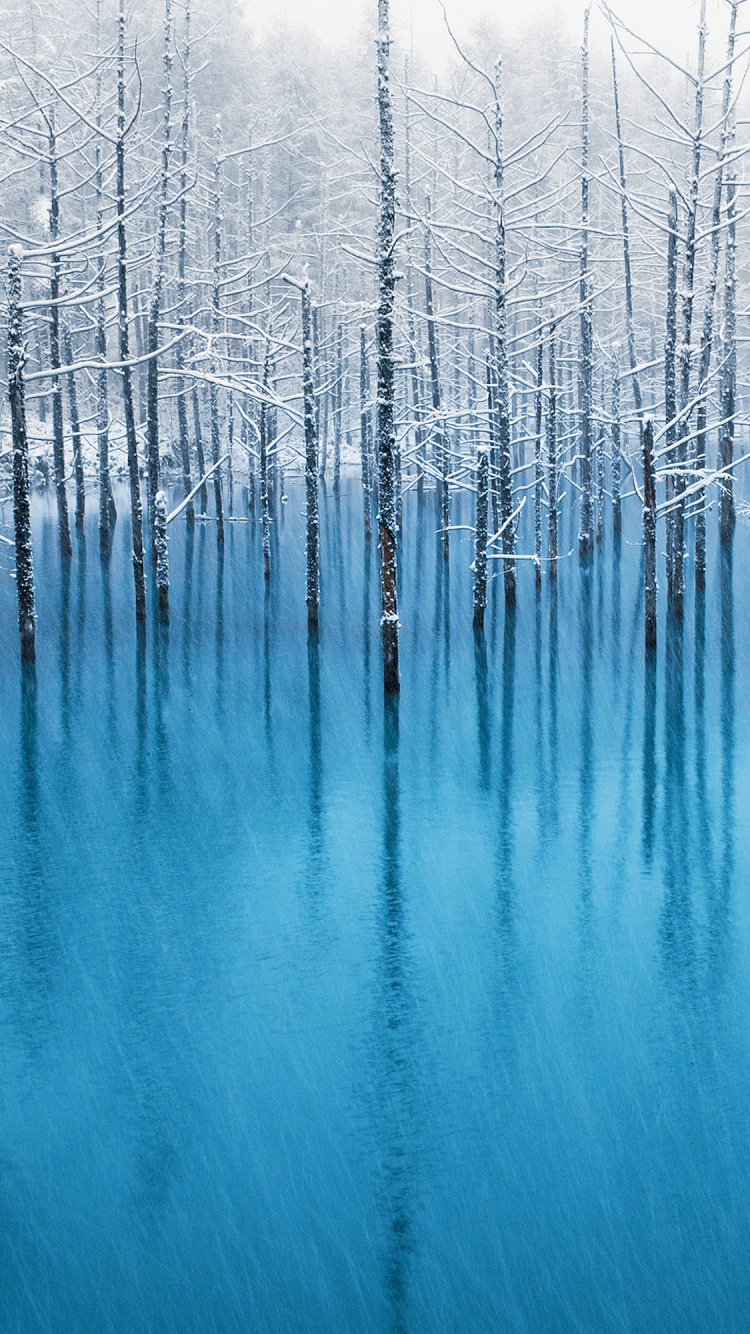 IOS 7, Ipod Touch, Ios, Apples, Water. Wallpaper in 750x1334 Resolution