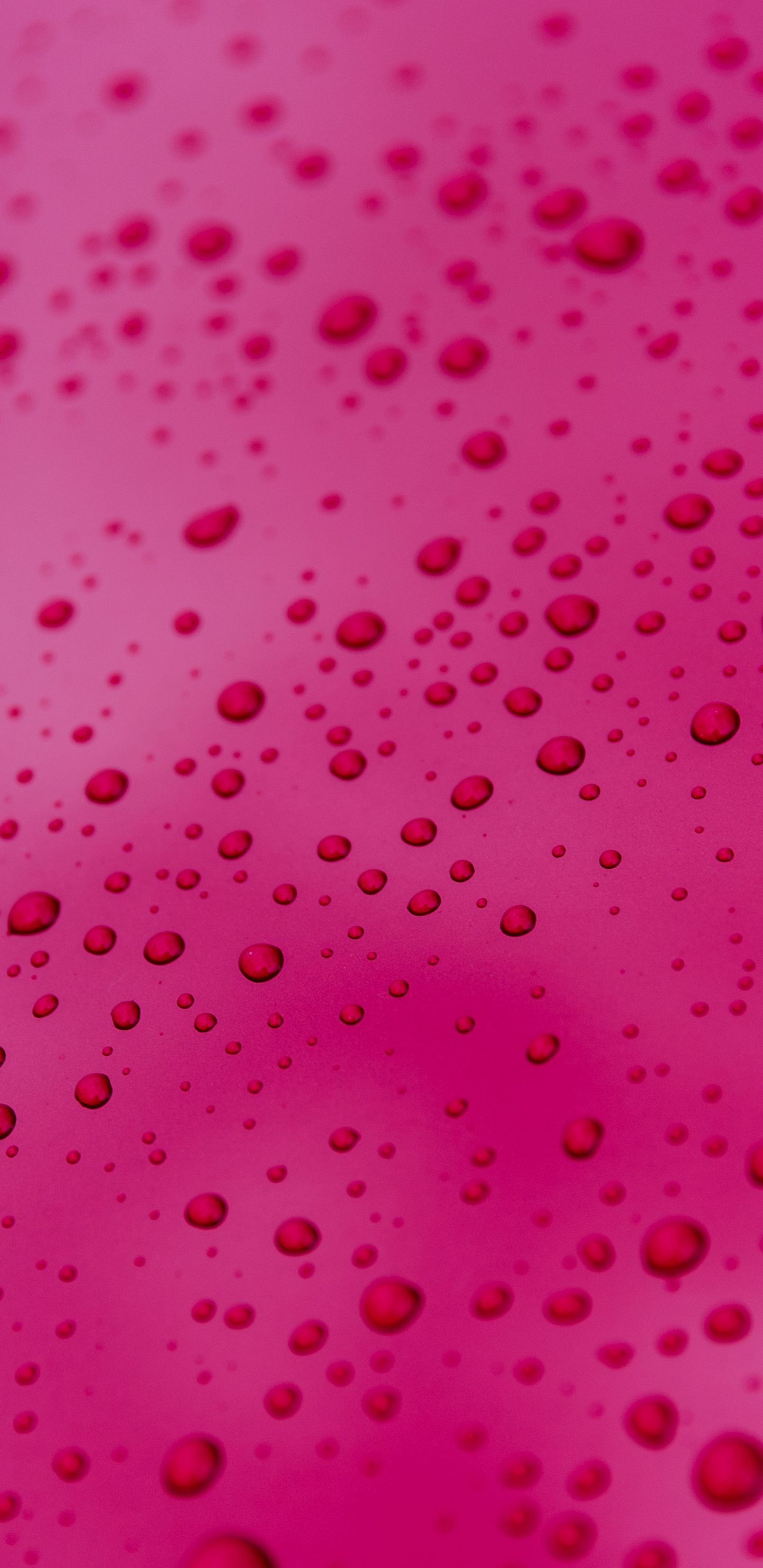 Textil de Lunares Rosa y Blanco. Wallpaper in 1440x2960 Resolution