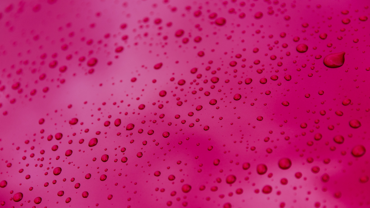 Pink and White Polka Dot Textile. Wallpaper in 1280x720 Resolution