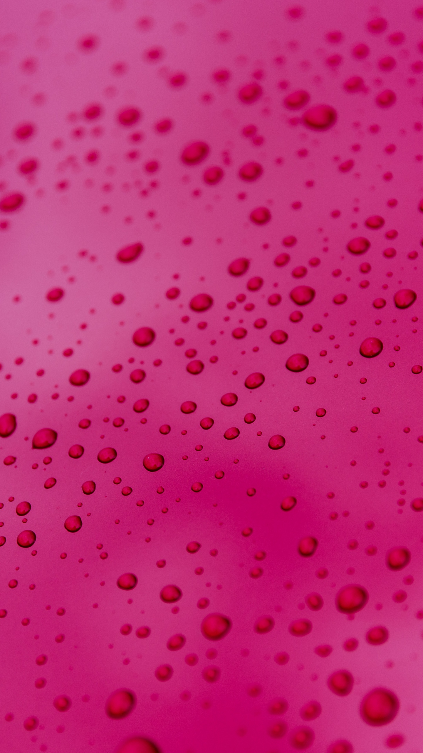Pink and White Polka Dot Textile. Wallpaper in 1440x2560 Resolution