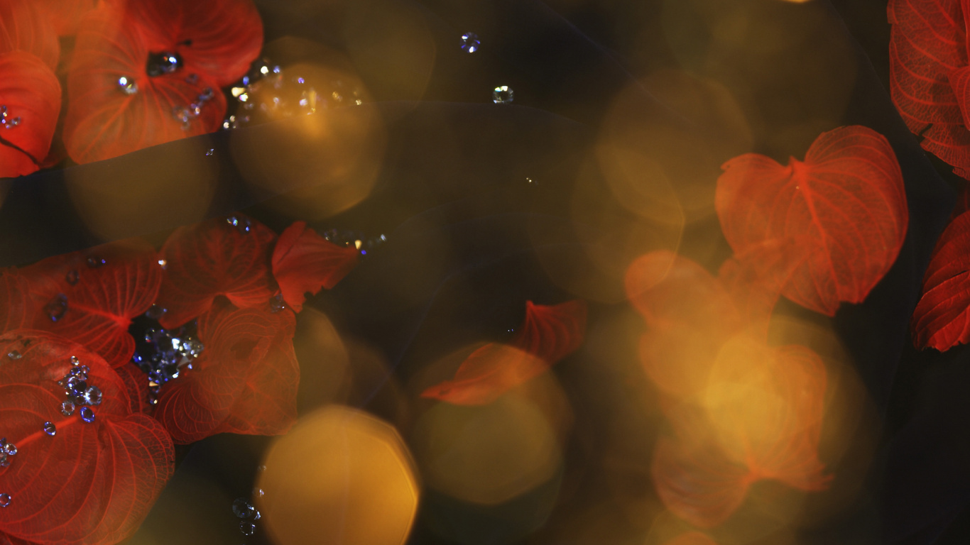 Luces Bokeh Rojas y Amarillas. Wallpaper in 1366x768 Resolution