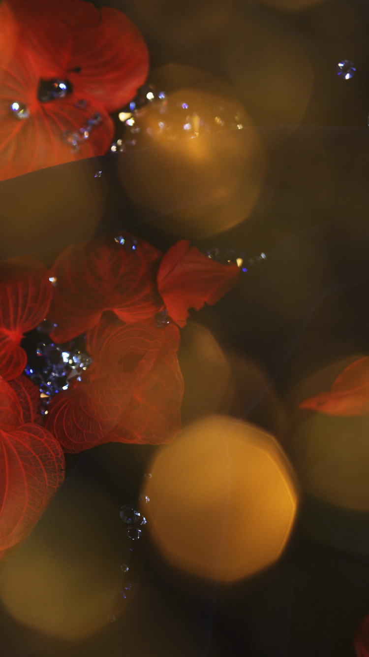 Rote Und Gelbe Bokeh-Lichter. Wallpaper in 750x1334 Resolution