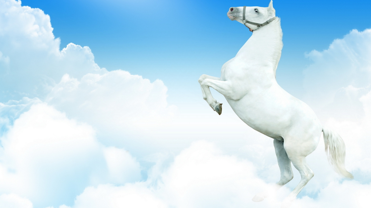 Statue de Cheval Blanc Sous Ciel Bleu. Wallpaper in 1280x720 Resolution