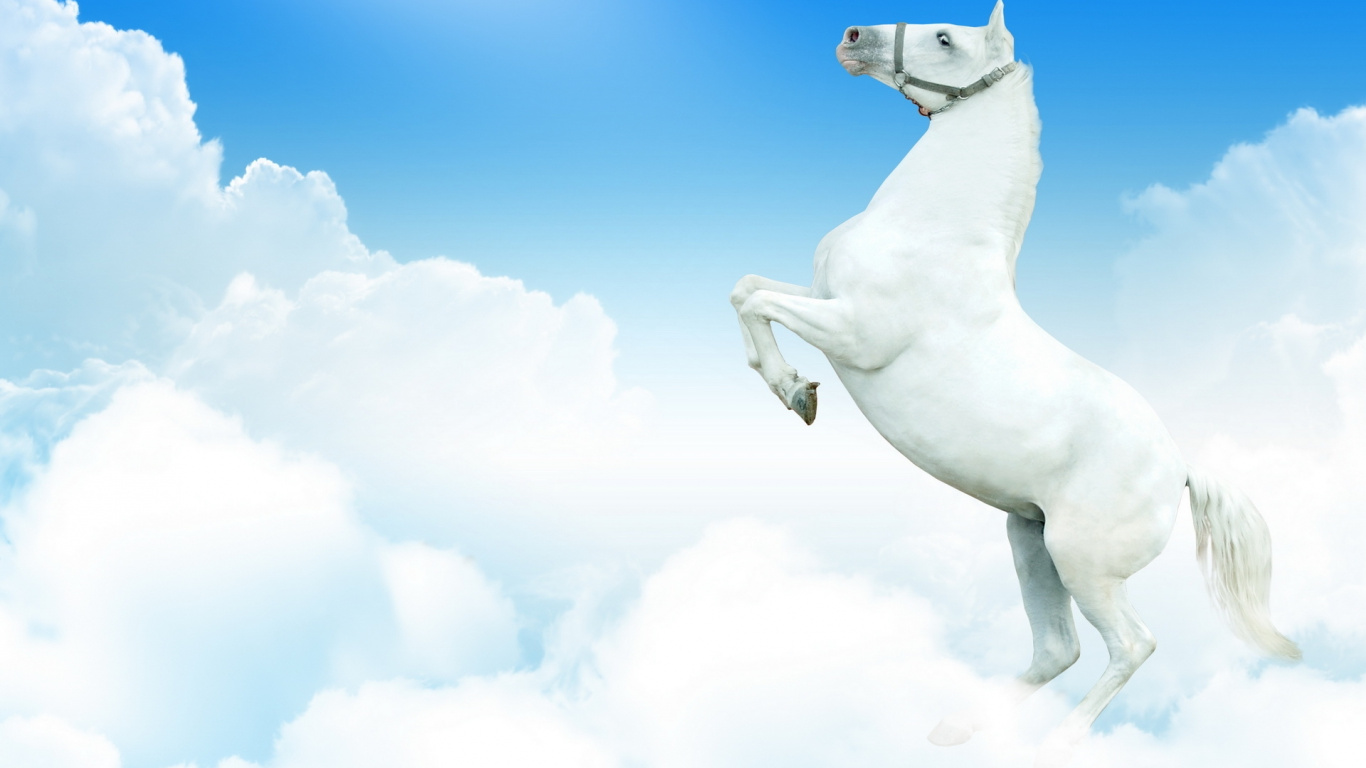 Statue de Cheval Blanc Sous Ciel Bleu. Wallpaper in 1366x768 Resolution