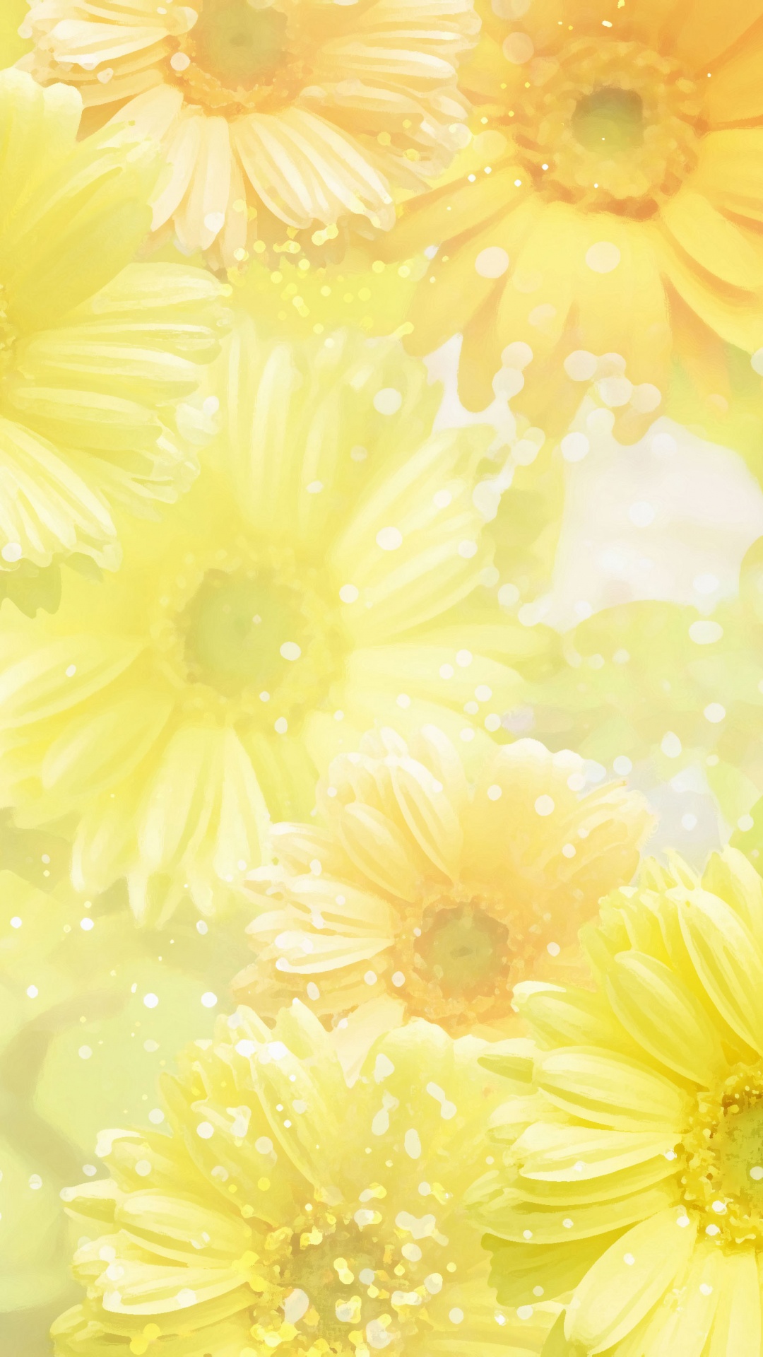 Gelbe Und Weiße Gänseblümchenblume. Wallpaper in 1080x1920 Resolution
