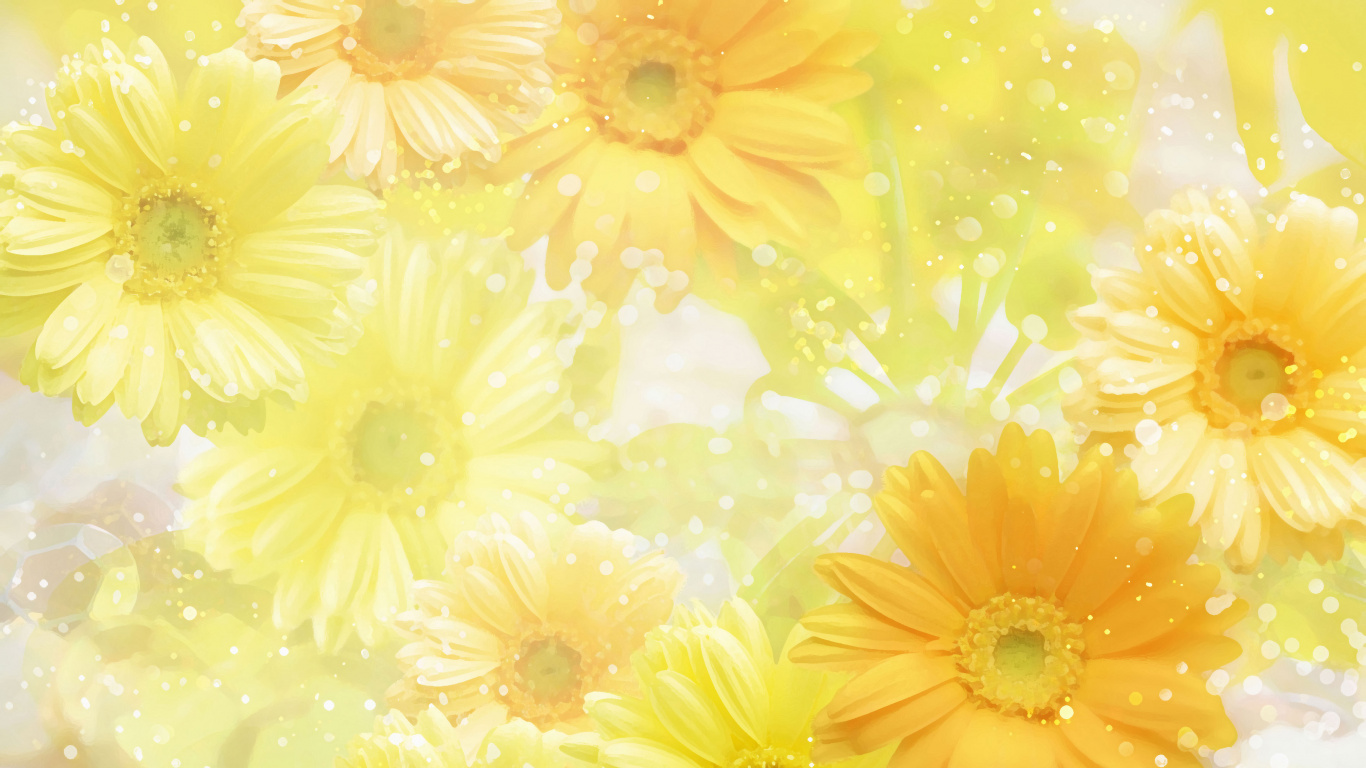 黄色的, 非洲菊, 显花植物, Daisy的家庭, 花艺 壁纸 1366x768 允许