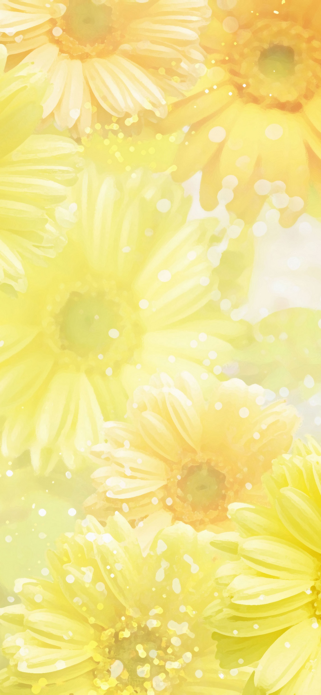Yellow and White Daisy Flower. Wallpaper in 1125x2436 Resolution