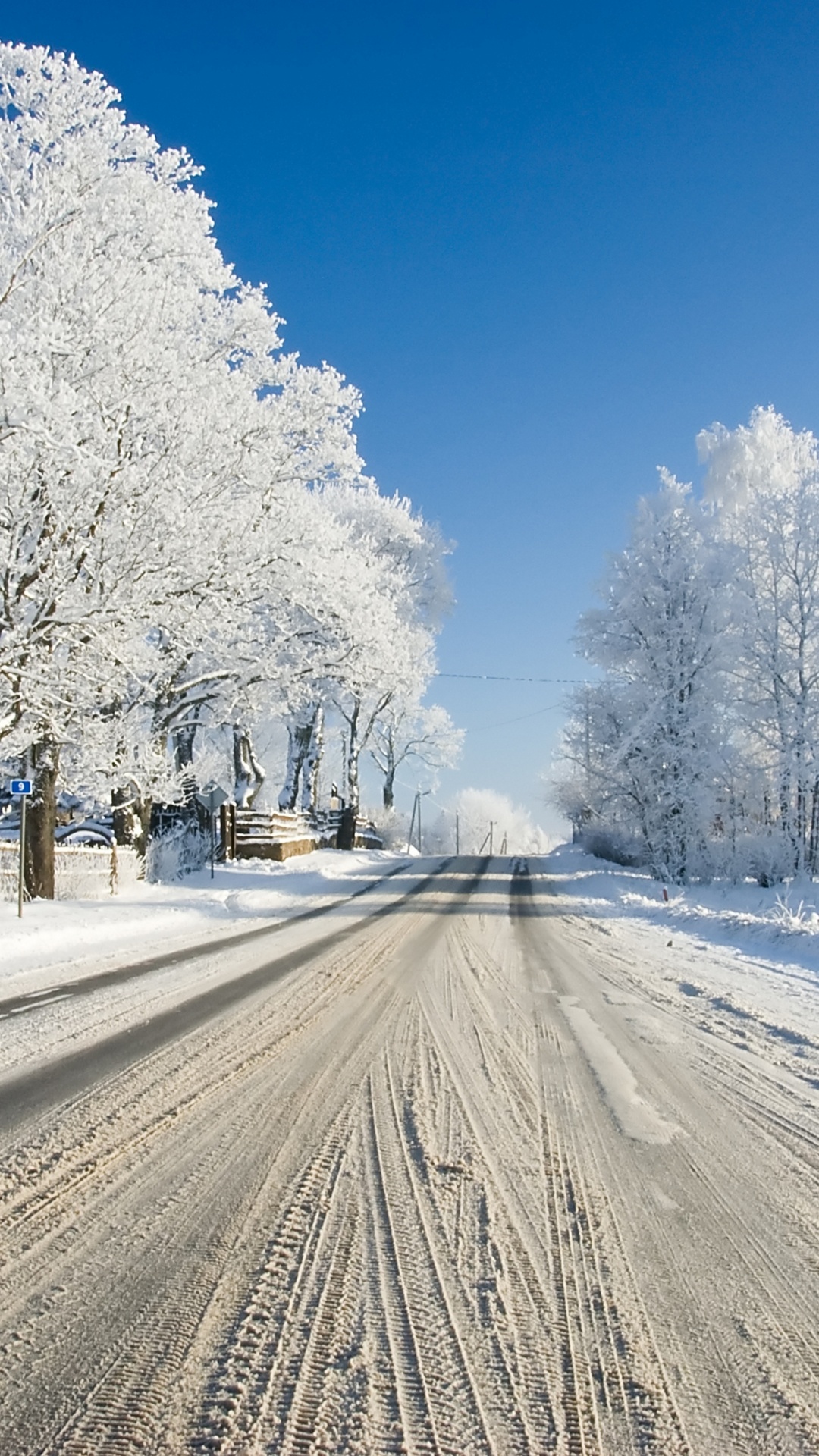 Schneebedeckte Straße Zwischen Bäumen Tagsüber. Wallpaper in 1080x1920 Resolution