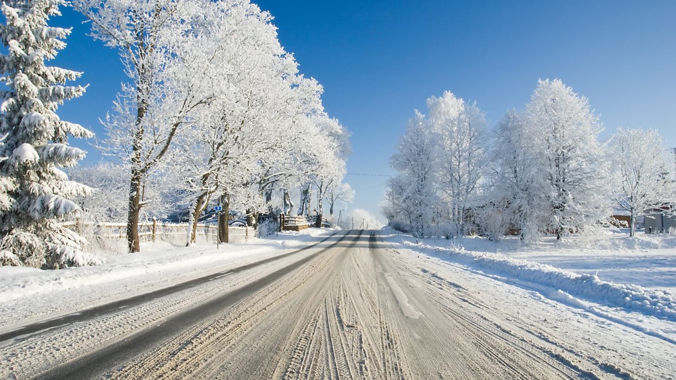 Schneebedeckte Straße Zwischen Bäumen Tagsüber. Wallpaper in 1366x768 Resolution