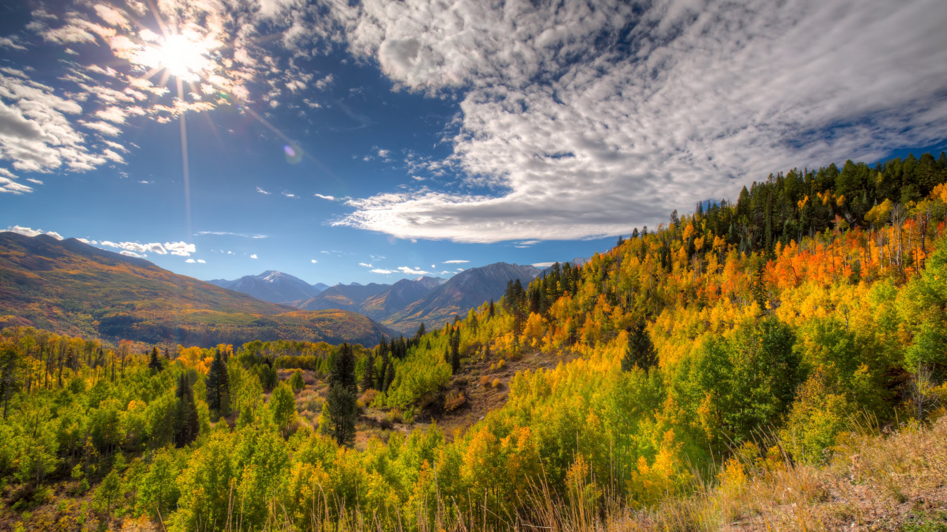 Green Trees Under Blue Sky During Daytime. Wallpaper in 1366x768 Resolution