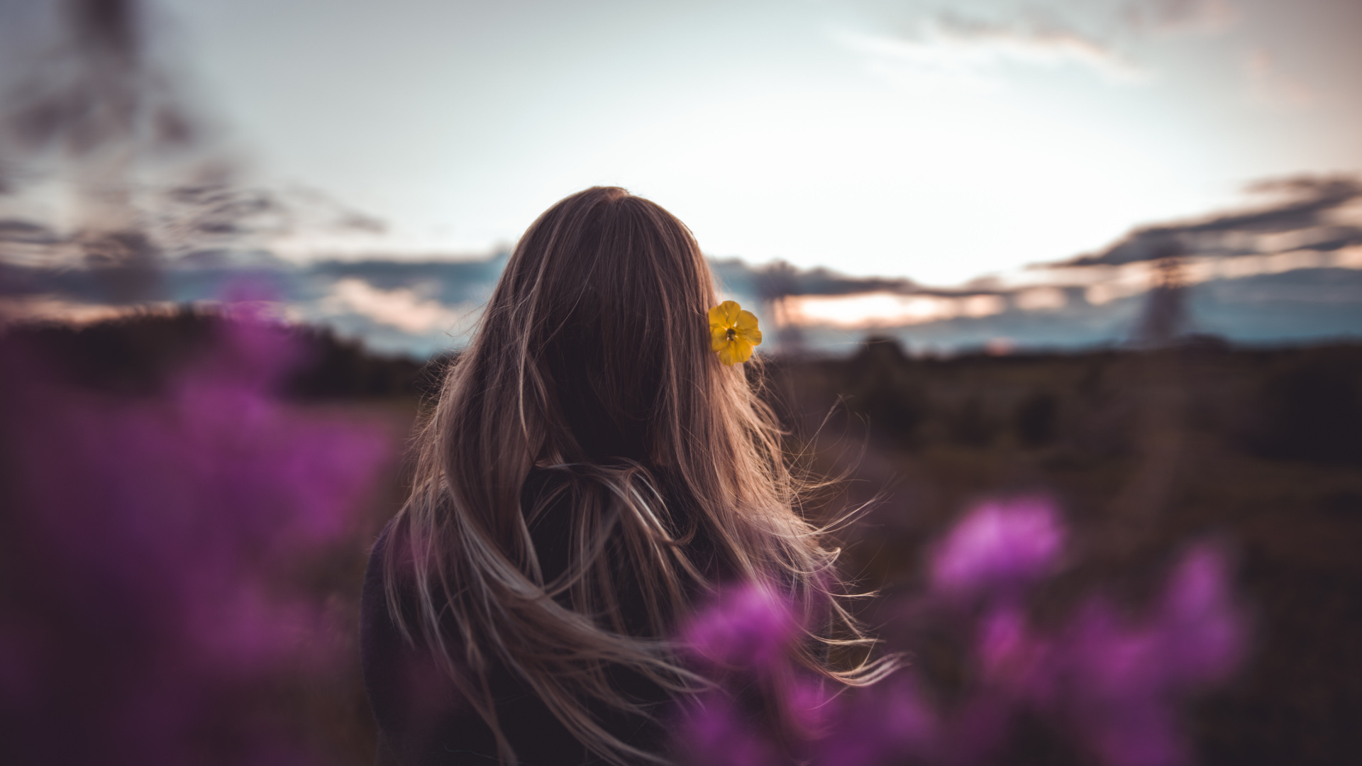 Hair, Purple, Beauty, Pink, Light. Wallpaper in 1920x1080 Resolution