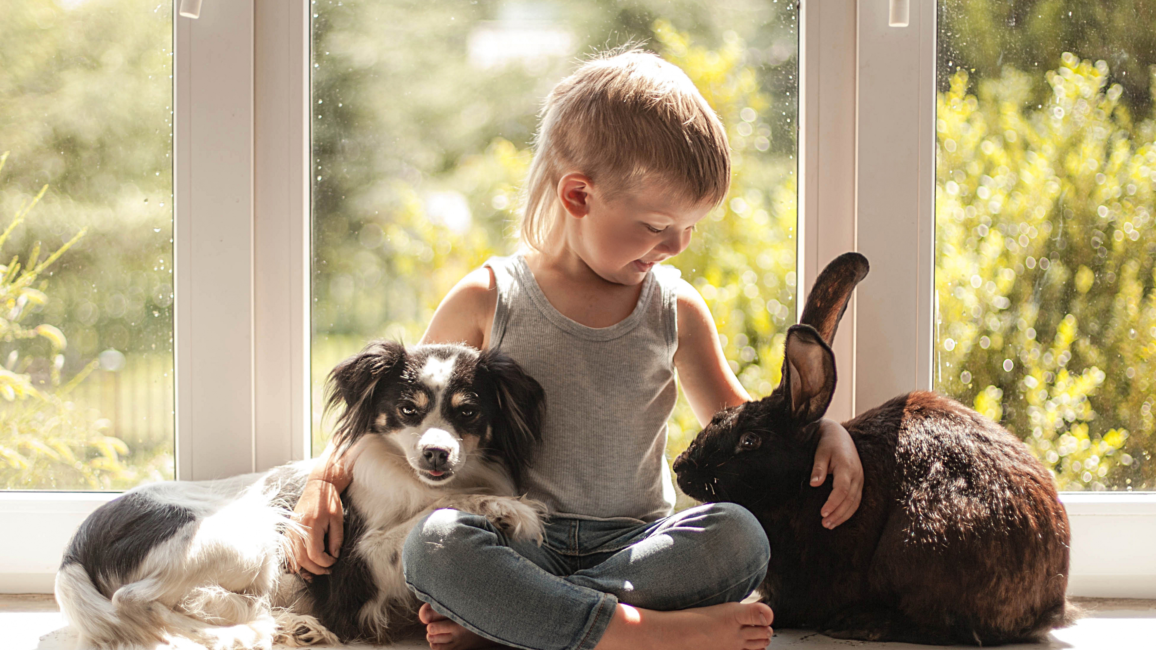 Rabbit, Dog, Dog Breed, Child, Companion Dog. Wallpaper in 3840x2160 Resolution