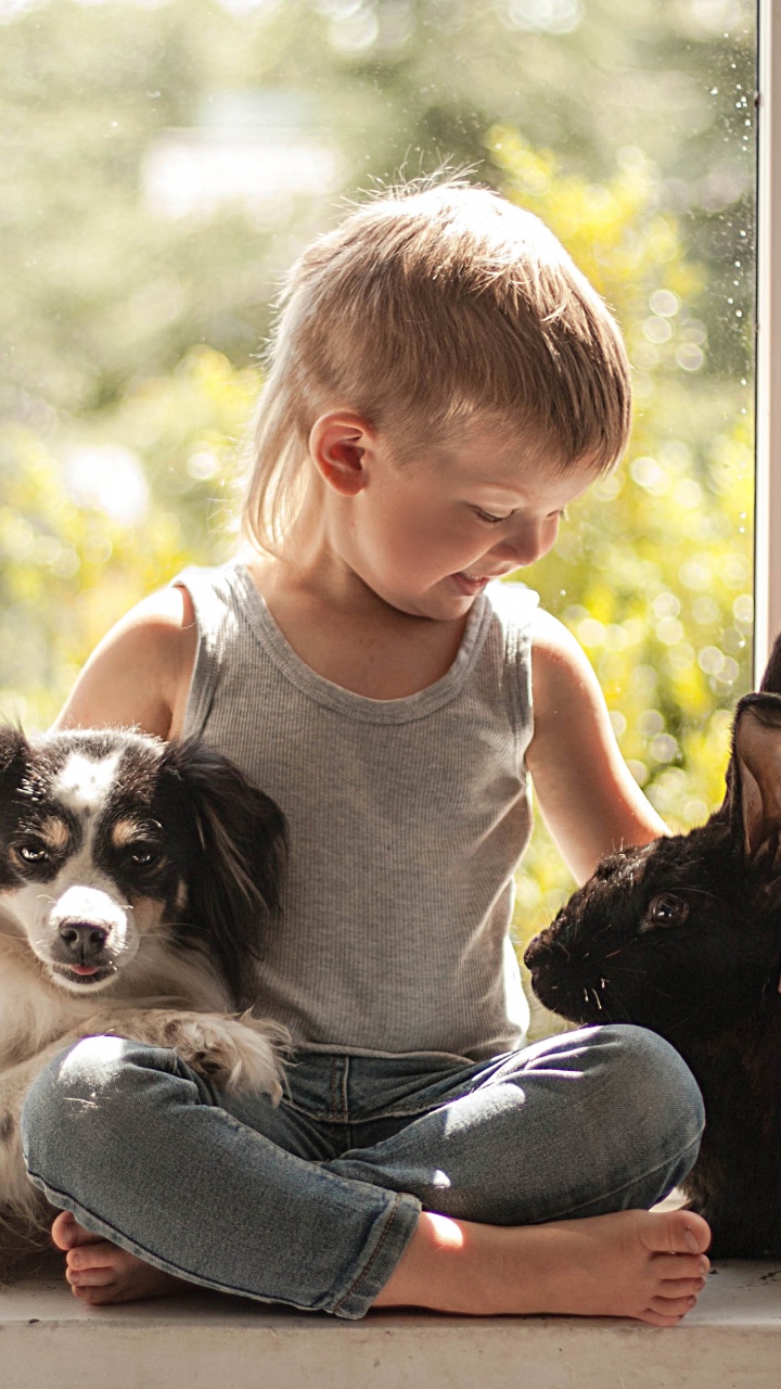 Rabbit, Dog, Dog Breed, Child, Companion Dog. Wallpaper in 720x1280 Resolution