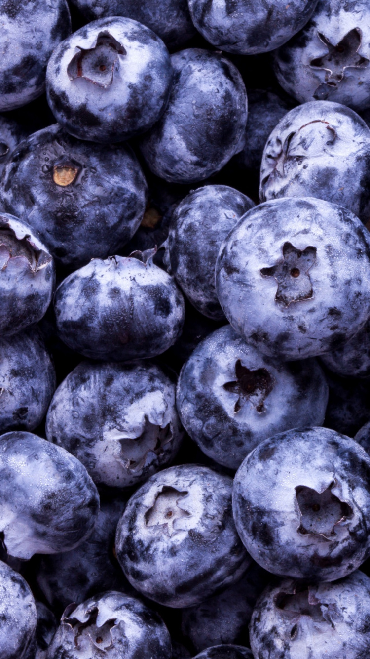 Blueberries, Berry, Fruit, Coffee, Food. Wallpaper in 750x1334 Resolution