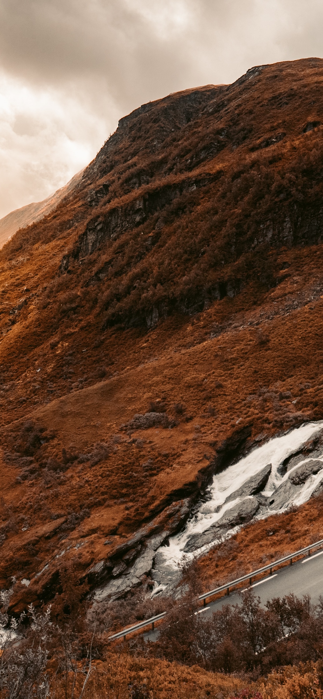 Nature Chaleureuse, Paysage Naturel, Pente, Highland, Terrain. Wallpaper in 1242x2688 Resolution