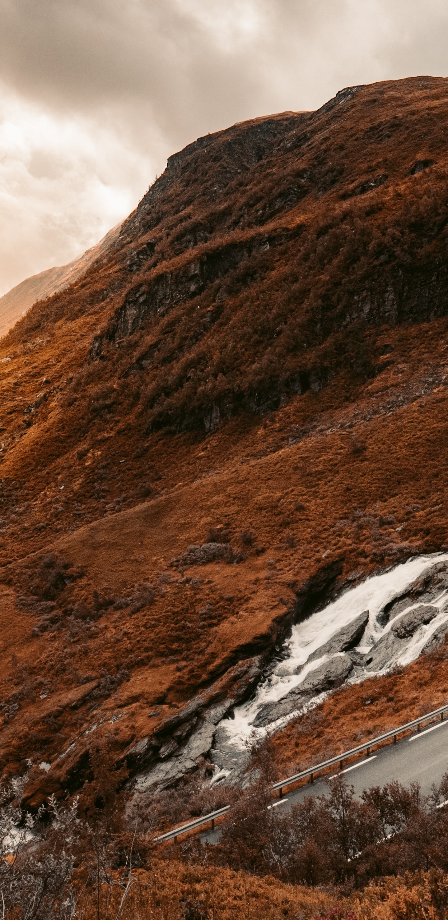 Nature Chaleureuse, Paysage Naturel, Pente, Highland, Terrain. Wallpaper in 1440x2960 Resolution