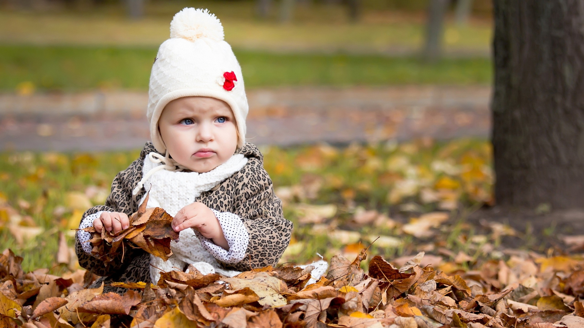 Säugling, Kind, Herbst, Baum, Mädchen. Wallpaper in 1920x1080 Resolution