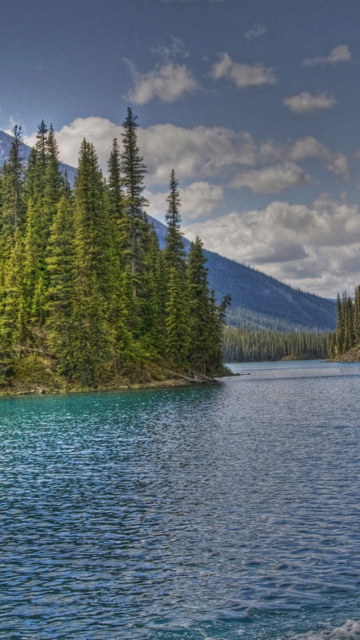 Grüne Pinien in Der Nähe Des Sees Unter Blauem Himmel Tagsüber. Wallpaper in 720x1280 Resolution