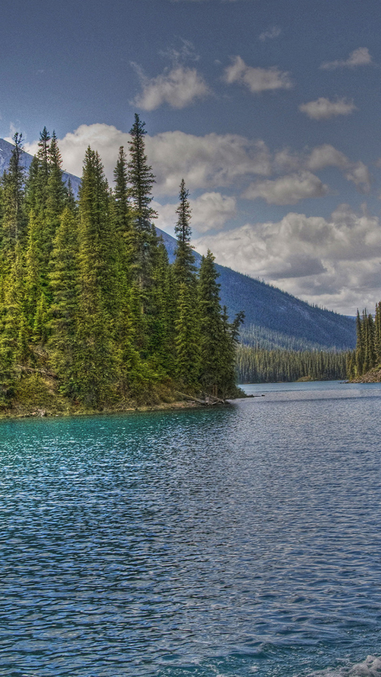 Grüne Pinien in Der Nähe Des Sees Unter Blauem Himmel Tagsüber. Wallpaper in 750x1334 Resolution
