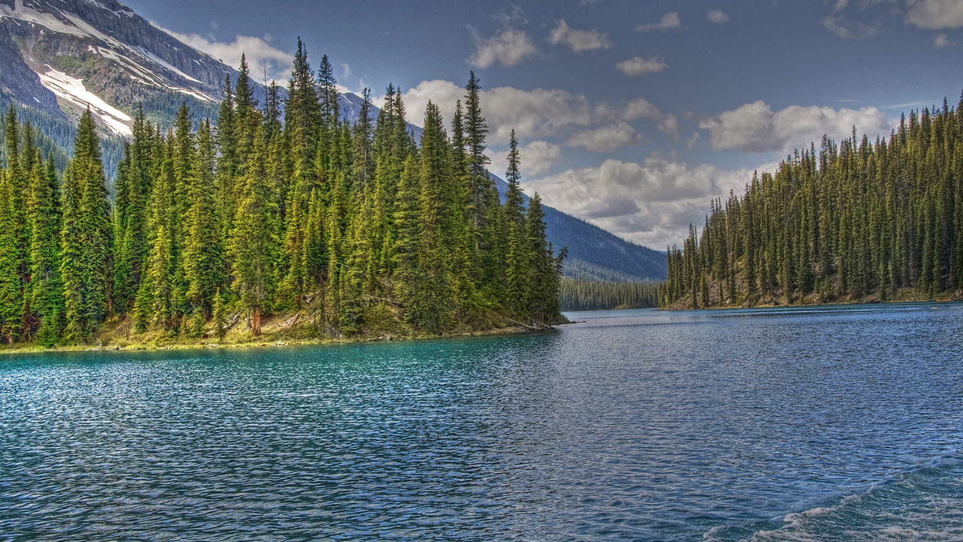 Green Pine Trees Near Lake Under Blue Sky During Daytime. Wallpaper in 1920x1080 Resolution
