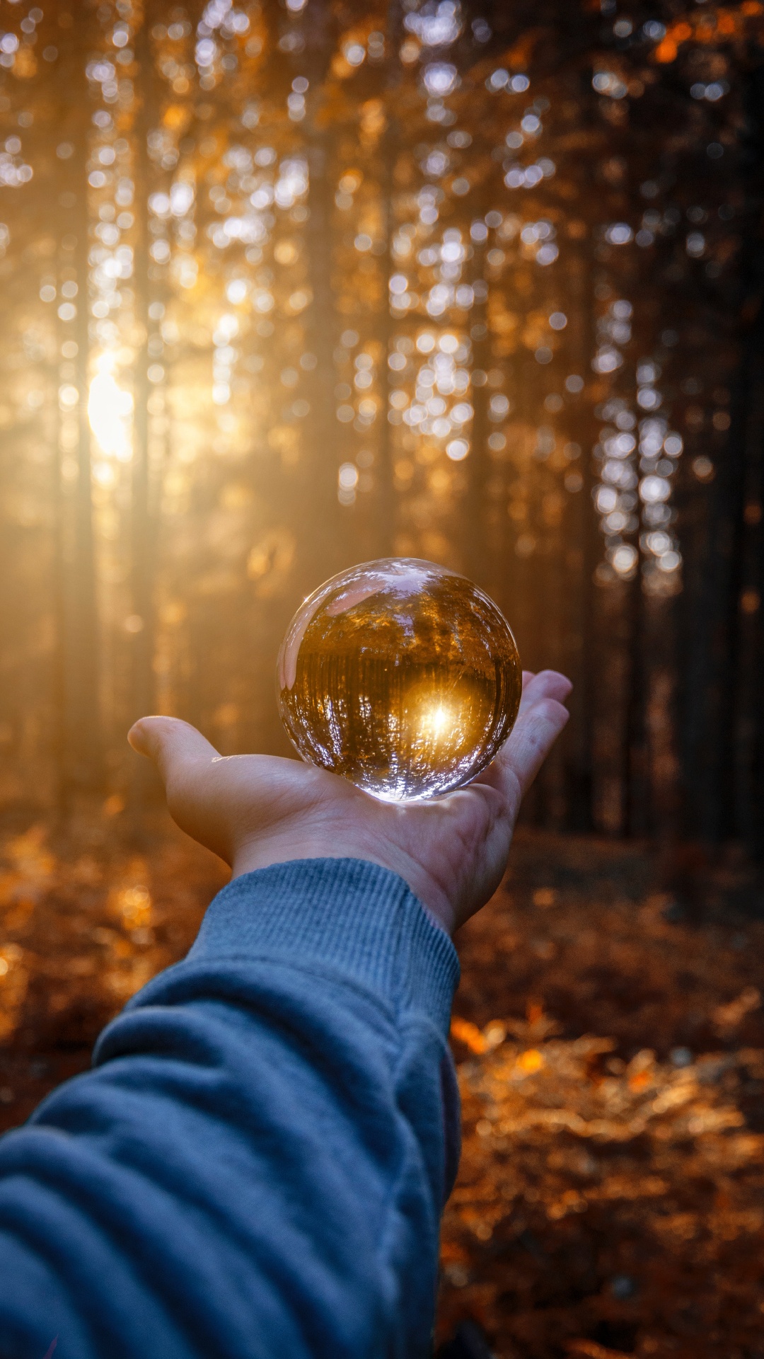 Persona Sosteniendo Una Bola de Cristal Transparente. Wallpaper in 1080x1920 Resolution