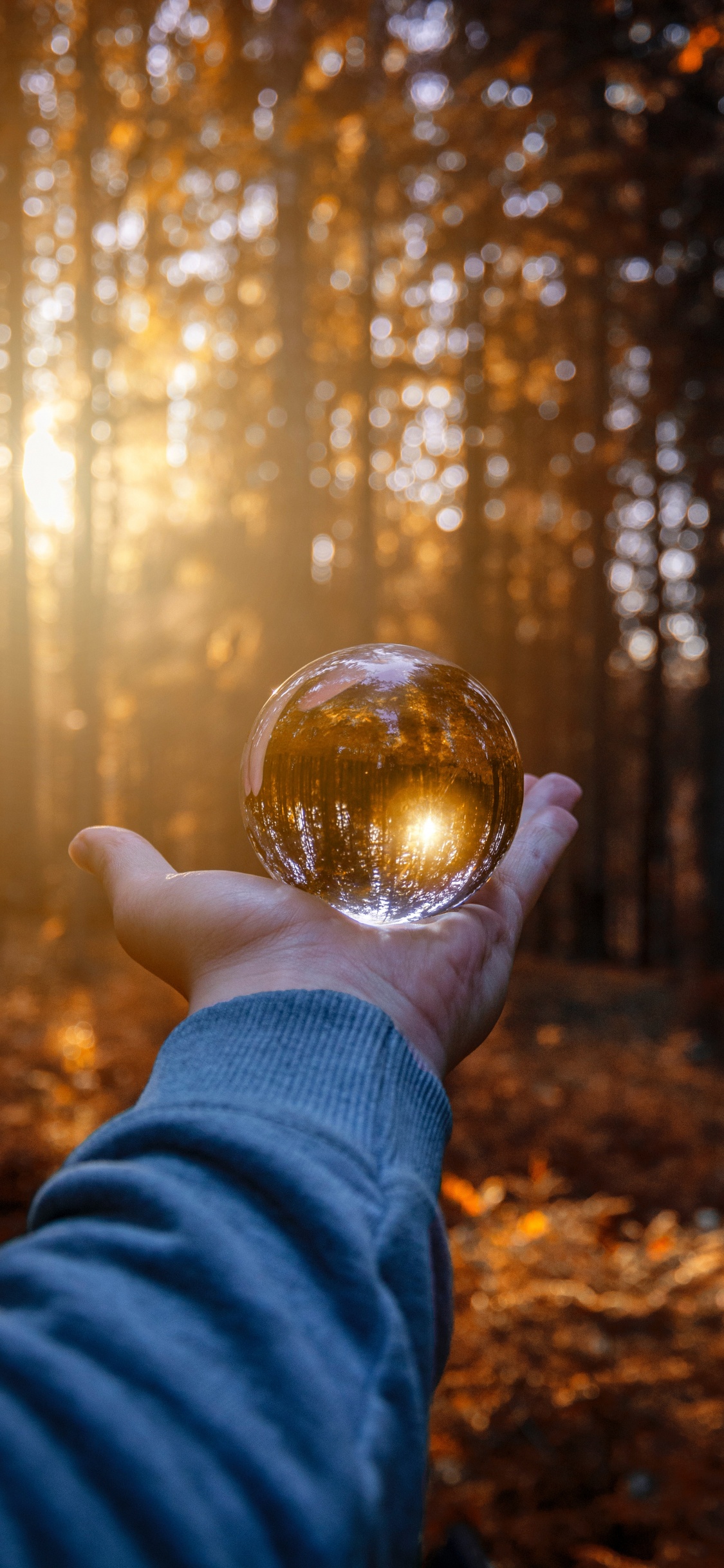 Personne Tenant Une Boule de Verre Transparent. Wallpaper in 1125x2436 Resolution