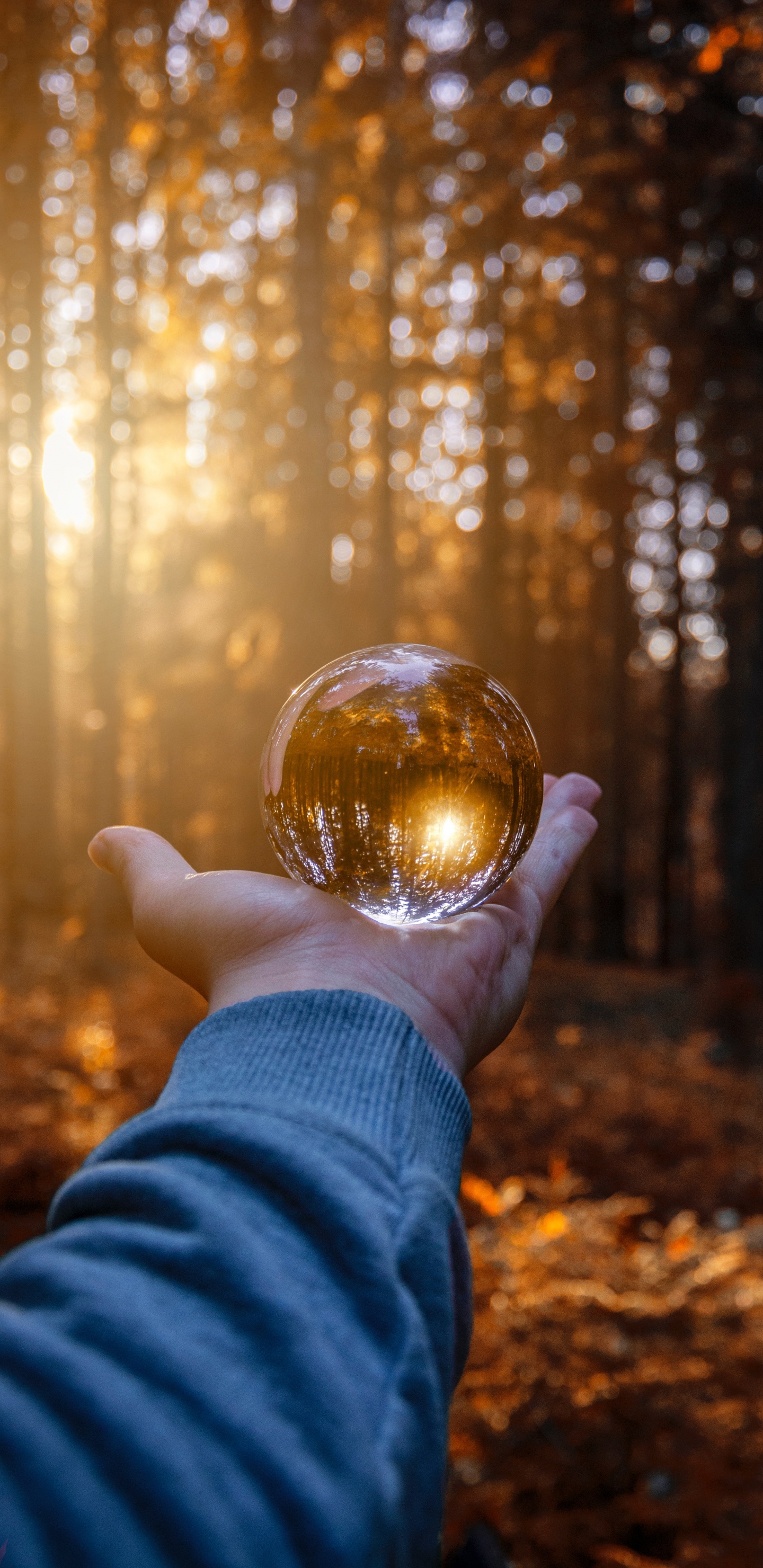Personne Tenant Une Boule de Verre Transparent. Wallpaper in 1440x2960 Resolution
