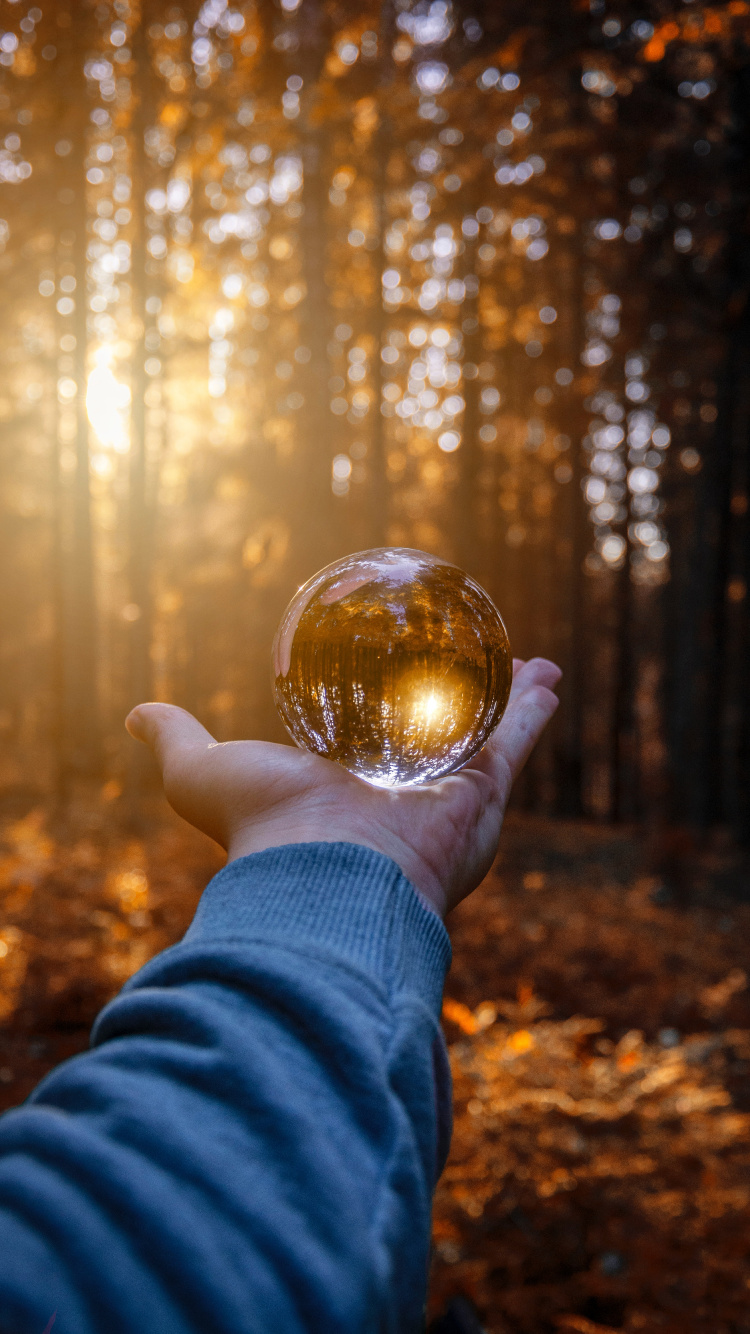 Personne Tenant Une Boule de Verre Transparent. Wallpaper in 750x1334 Resolution