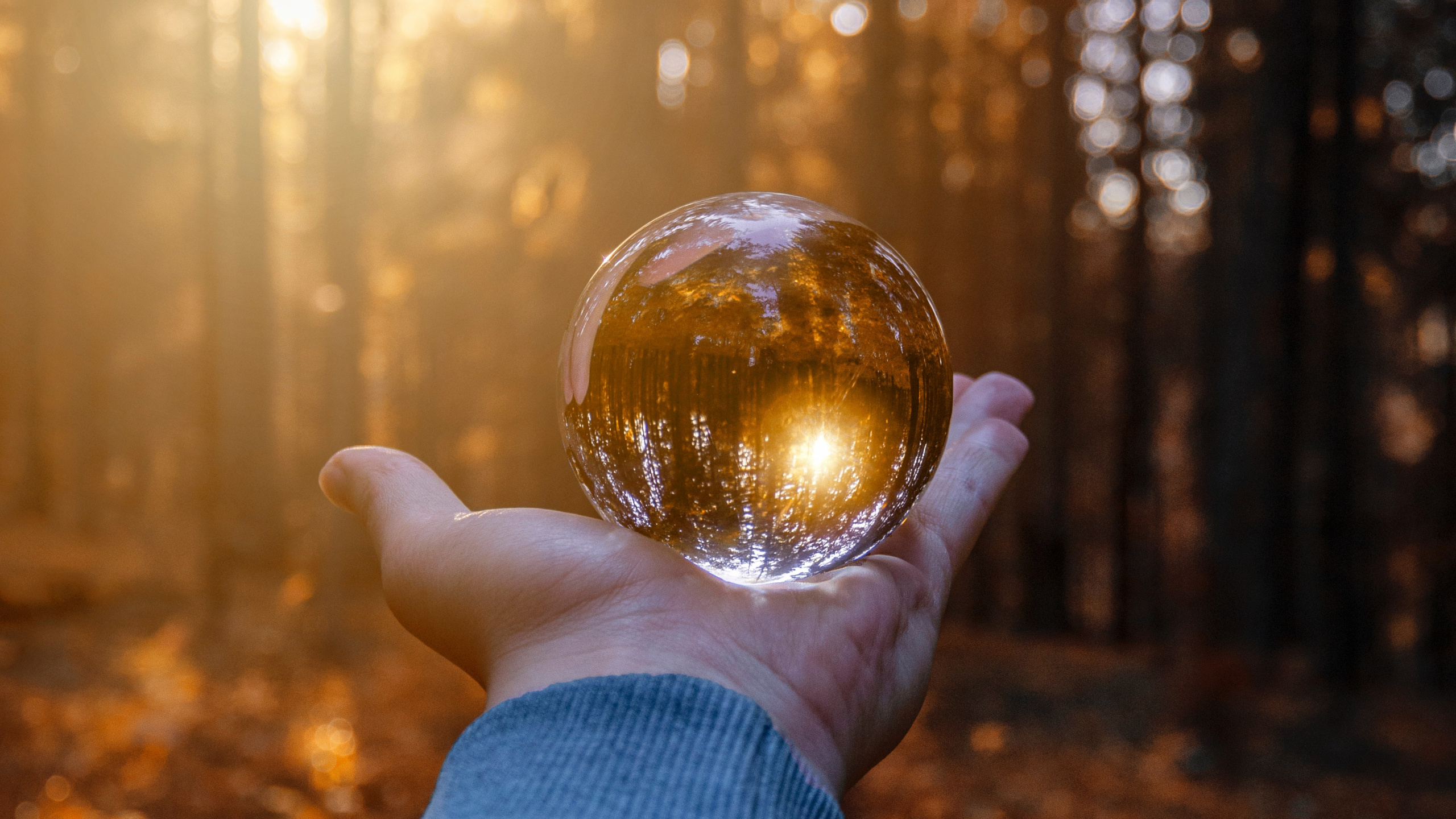 Person Holding Clear Glass Ball. Wallpaper in 2560x1440 Resolution