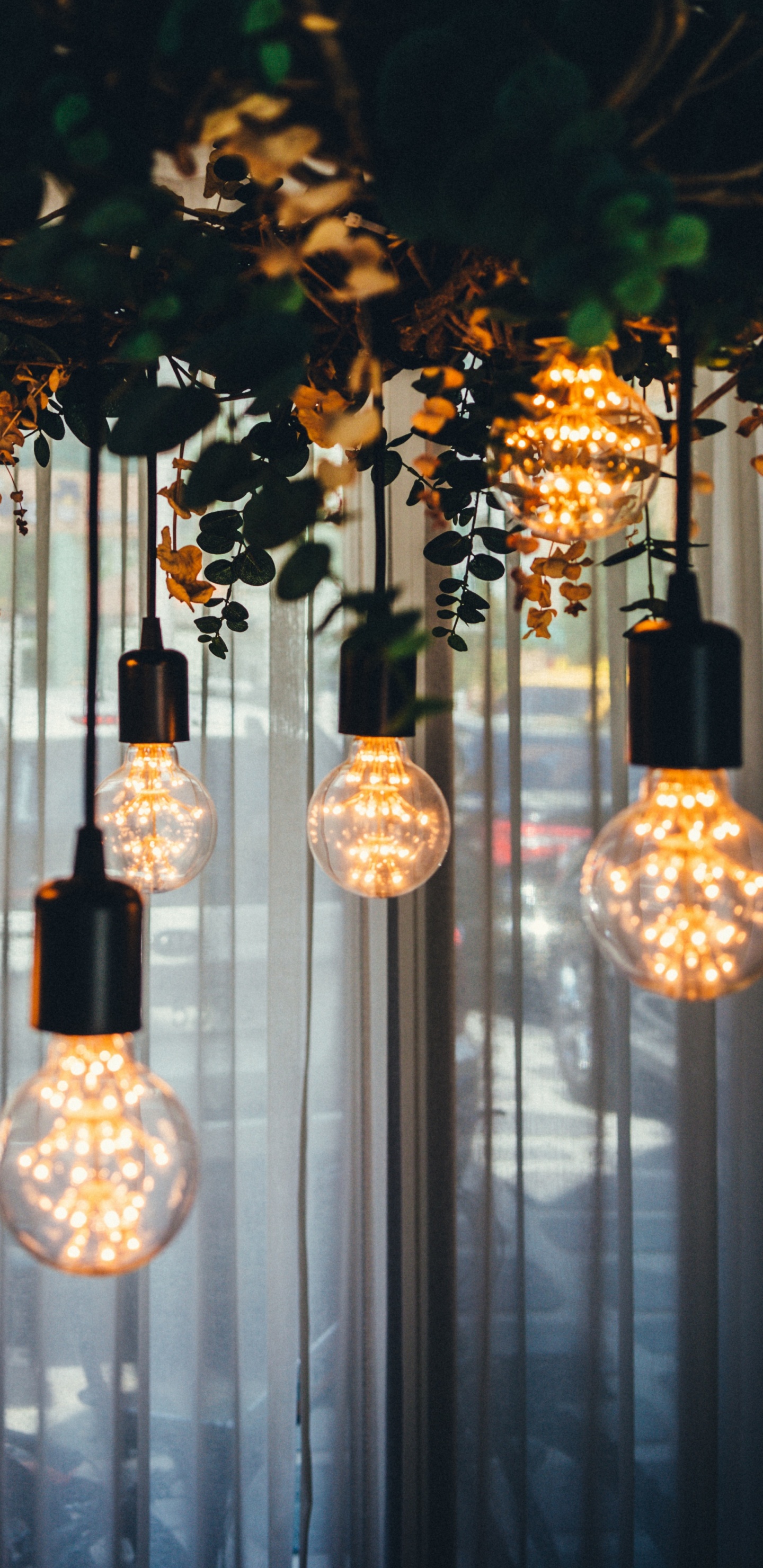 Lighting, Pendant Light, Light, Incandescent Light Bulb, Design. Wallpaper in 1440x2960 Resolution