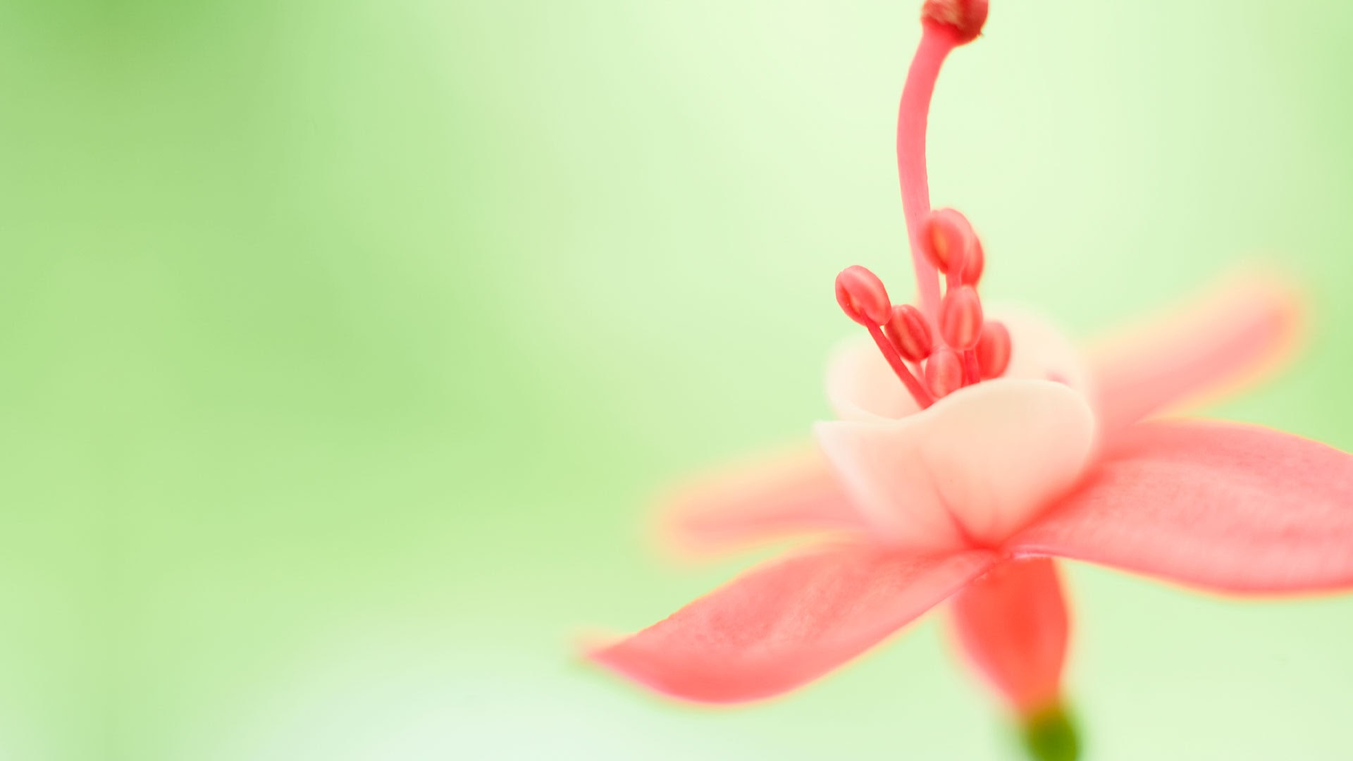Windows, Windows10, Microsoft Windows, Windows8, Windows7 壁纸 1920x1080 允许