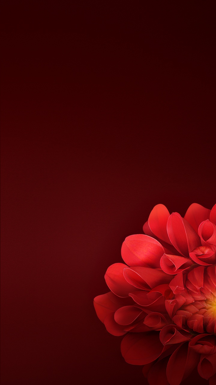 OPPO, Oppo R15, Oppo F7, Oppo Reno, Android. Wallpaper in 720x1280 Resolution