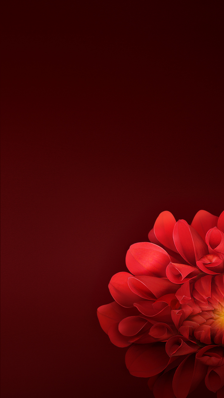 OPPO, Oppo R15, Oppo F7, Oppo Reno, Android. Wallpaper in 750x1334 Resolution