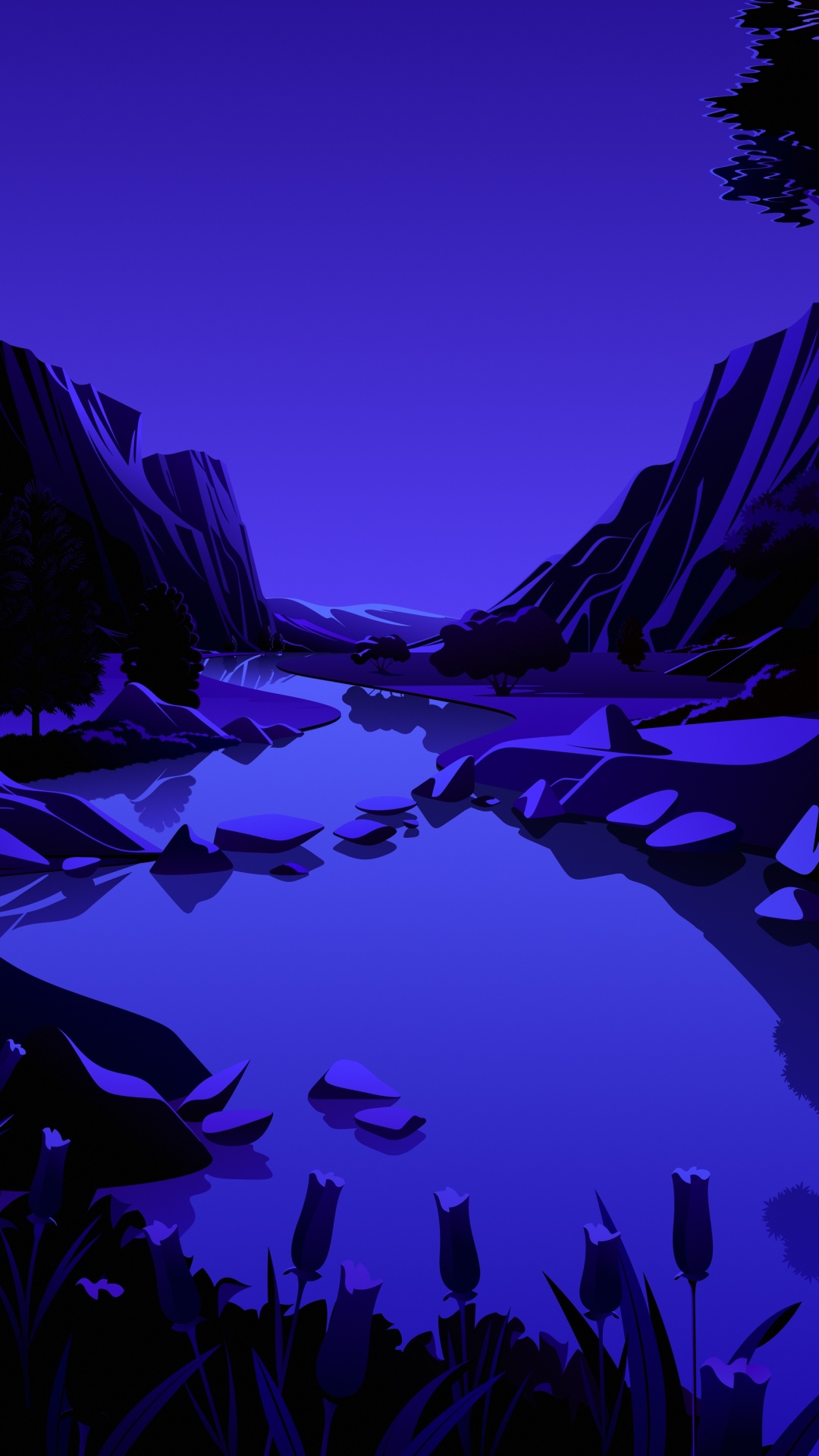 IPad, Ipad Pro, IPad Air, IOS 14, IOS 14.2. Wallpaper in 1080x1920 Resolution