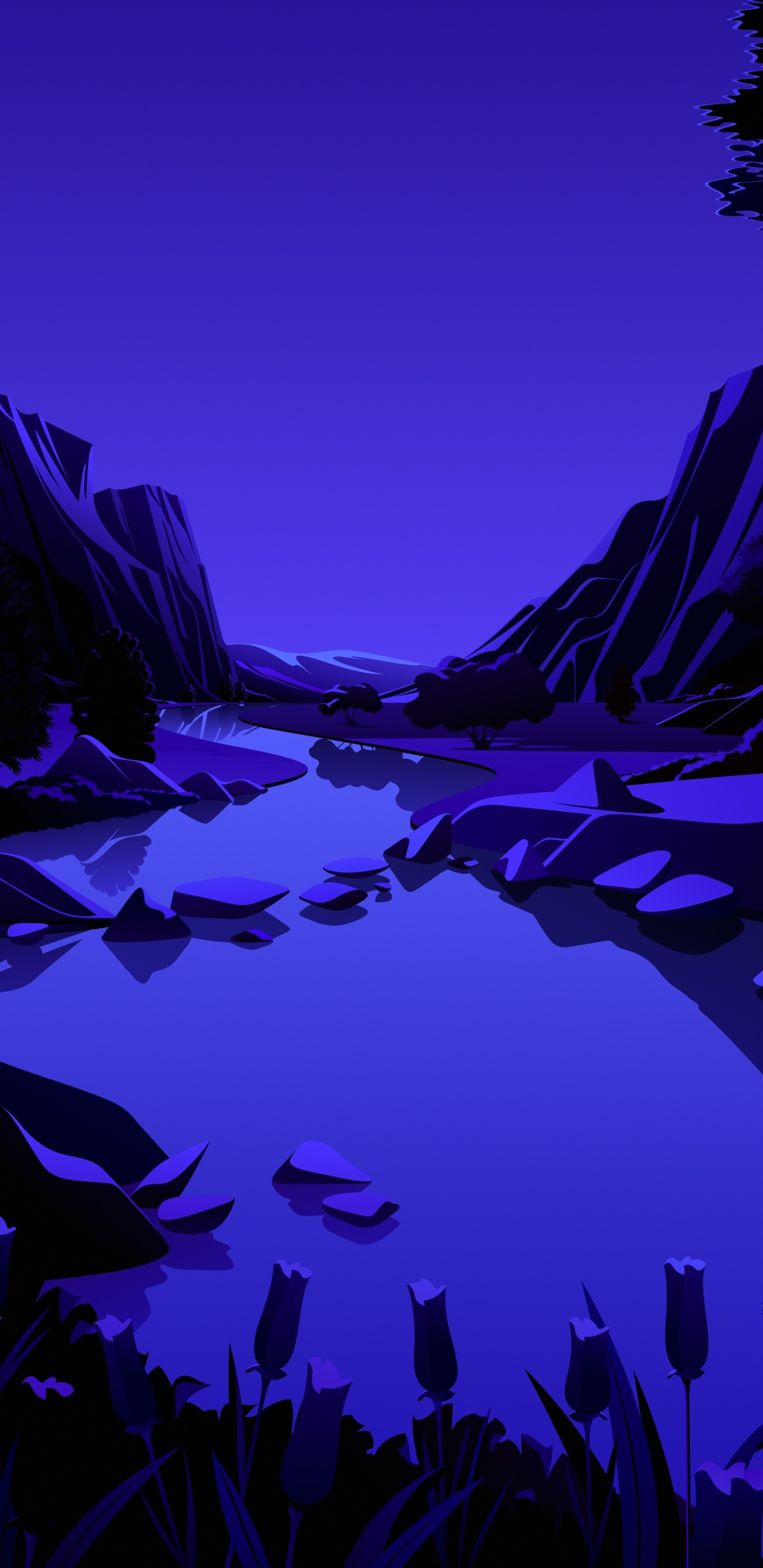 IPad, Ipad Pro, IPad Air, IOS 14, IOS 14.2. Wallpaper in 1440x2960 Resolution