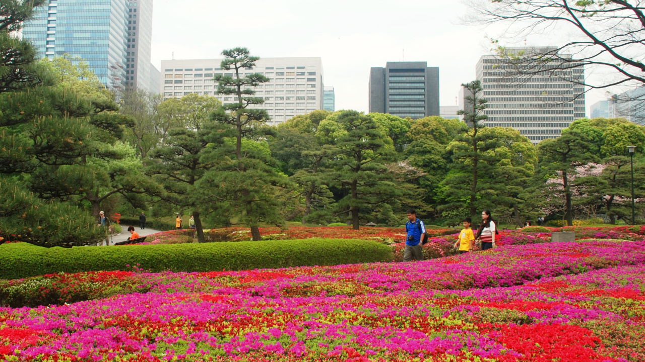 People Walking on Green Grass Field Near High Rise Buildings During Daytime. Wallpaper in 1280x720 Resolution