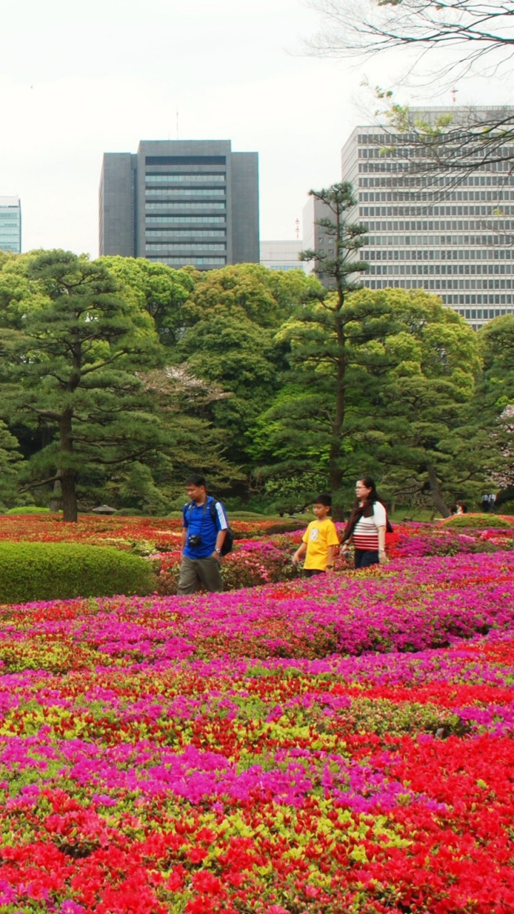 People Walking on Green Grass Field Near High Rise Buildings During Daytime. Wallpaper in 720x1280 Resolution