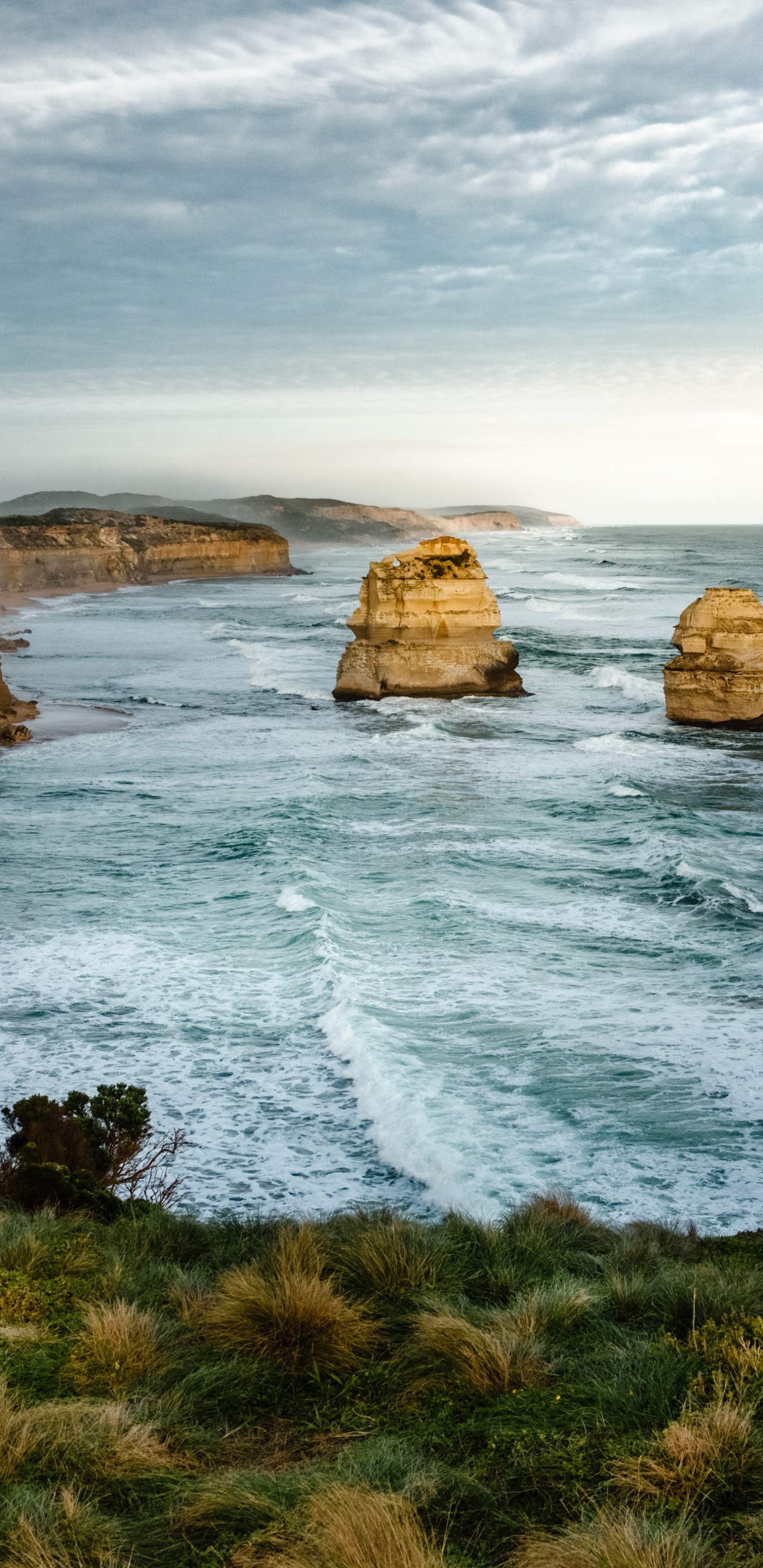 Escuela de Estudios de Campo Australia, Australia, la Escuela de Estudios de Campo, Educación, Escuela. Wallpaper in 1440x2960 Resolution