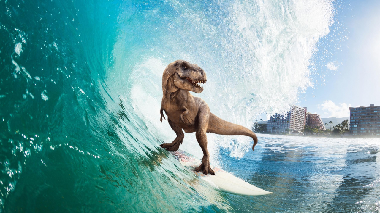 Brauner, Kurzhaariger Hund Tagsüber im Schwimmbad. Wallpaper in 1280x720 Resolution