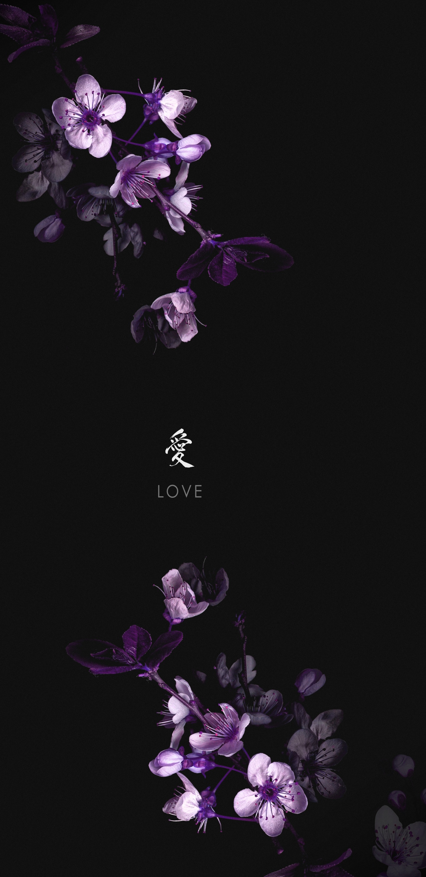 Wisgoon - Social Network, Flower, Petal, Purple, Terrestrial Plant. Wallpaper in 1440x2960 Resolution