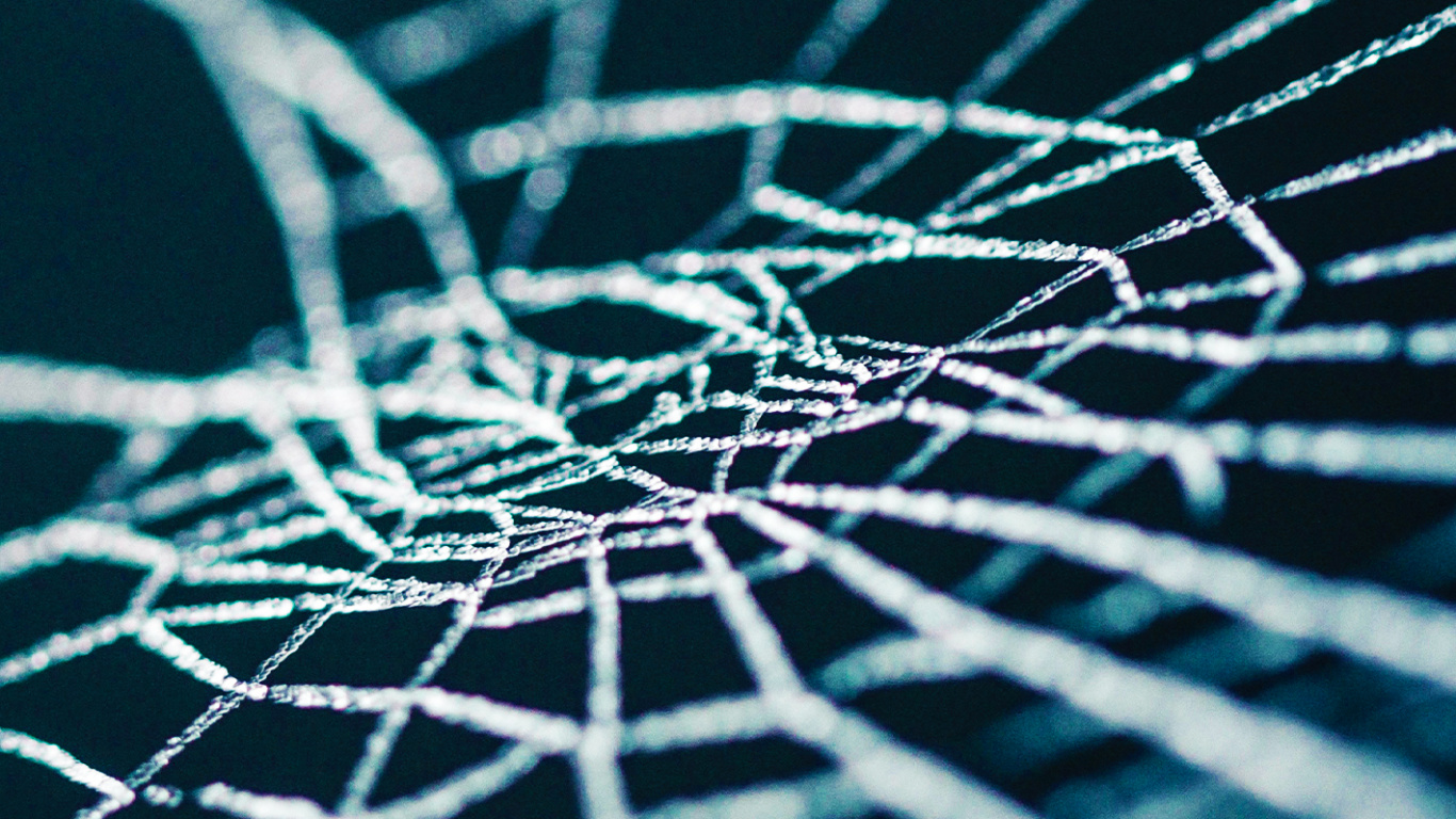 Wasser, Azure, Terrestrische Pflanzen, Naturmaterialien, Kunst. Wallpaper in 1366x768 Resolution