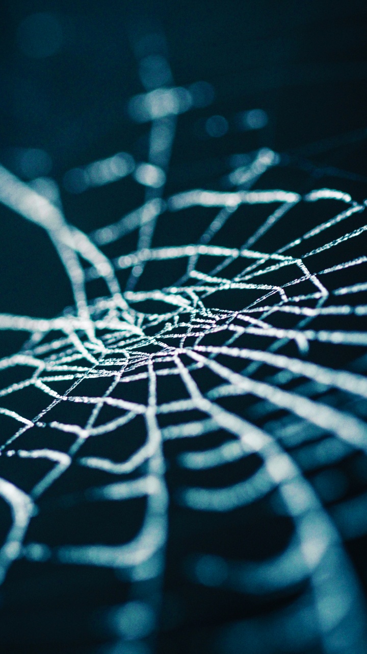 Wasser, Azure, Terrestrische Pflanzen, Naturmaterialien, Kunst. Wallpaper in 720x1280 Resolution